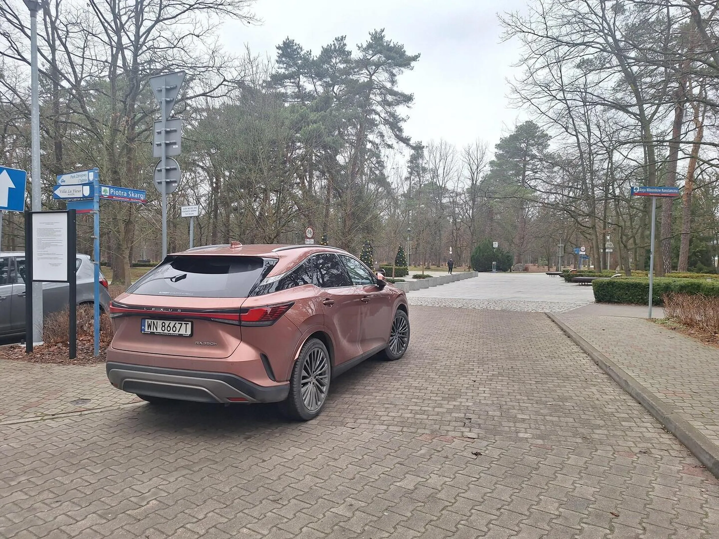 Baran wjechał do parku.