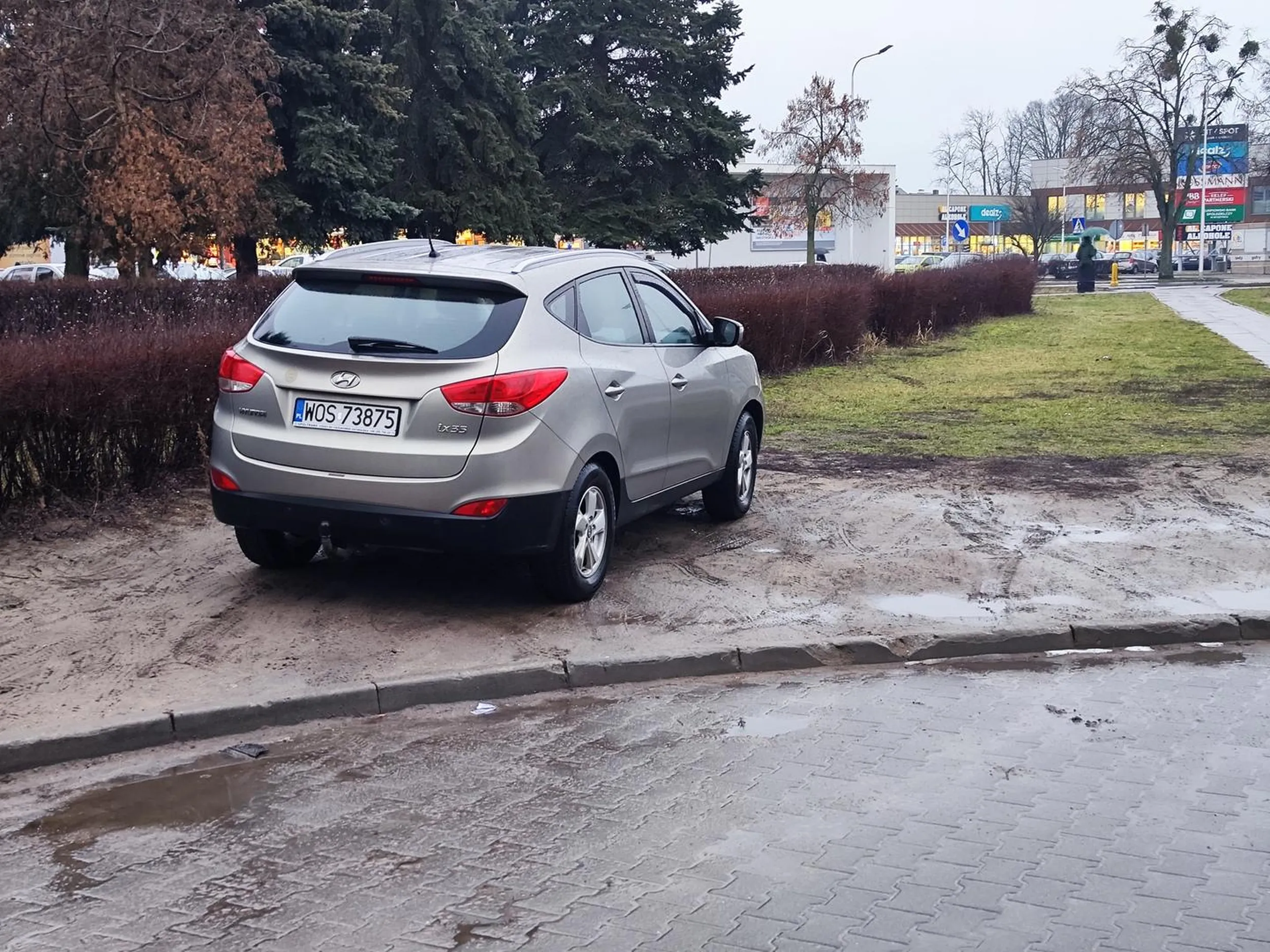 Właśnie w ten sposób niszczy się trawnik, to nie jest miejsce przeznaczone do parkowania aut. Ostrołęka, ul. Józefa Piłsudskiego 40 koło kortu tenisowego, 7.01.2025, godz. 15.21.