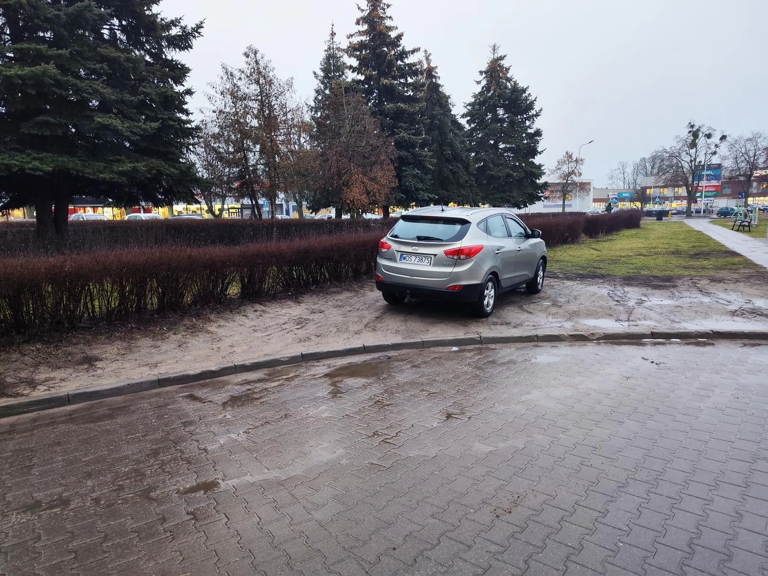 Właśnie w ten sposób niszczy się trawnik, to nie jest miejsce przeznaczone do parkowania aut. Ostrołęka, ul. Józefa Piłsudskiego 40 koło kortu tenisowego, 7.01.2025, godz. 15.21.