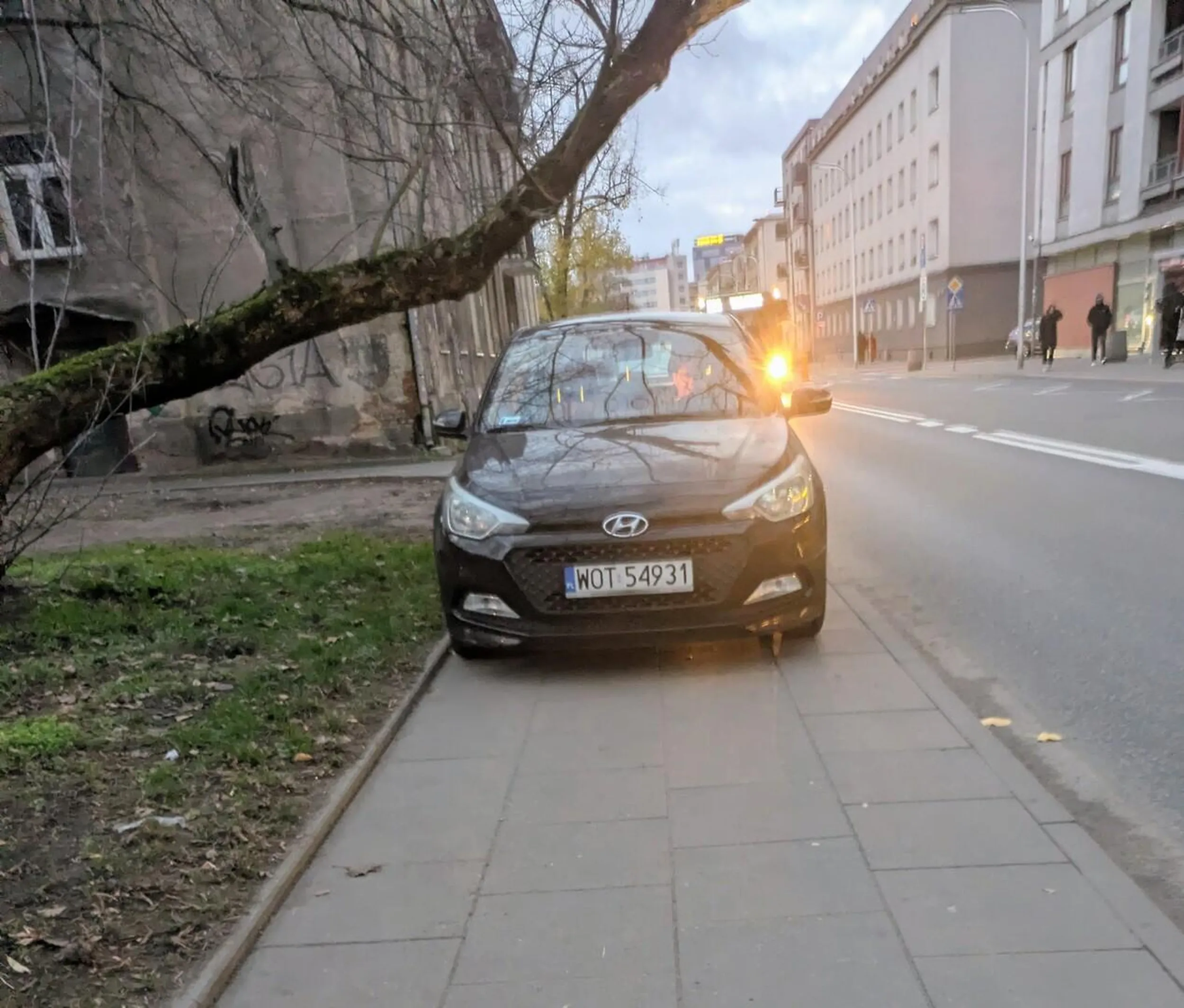 Kobieta poszla sobie do Biedronki na zakupy. Caly chodnik jej.