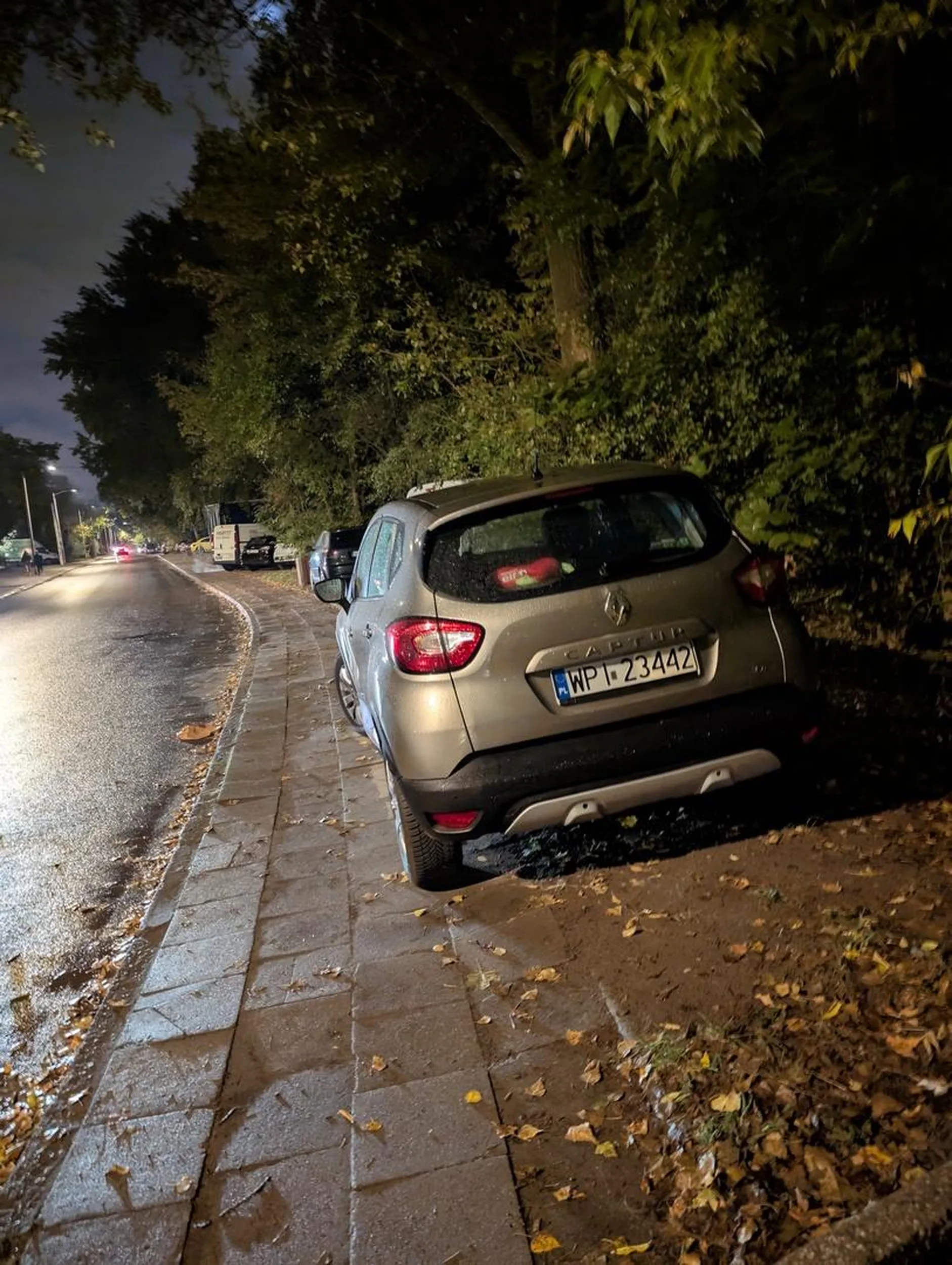 Trawa i chodnik zaliczone no bo przecież zakazu nie ma ...