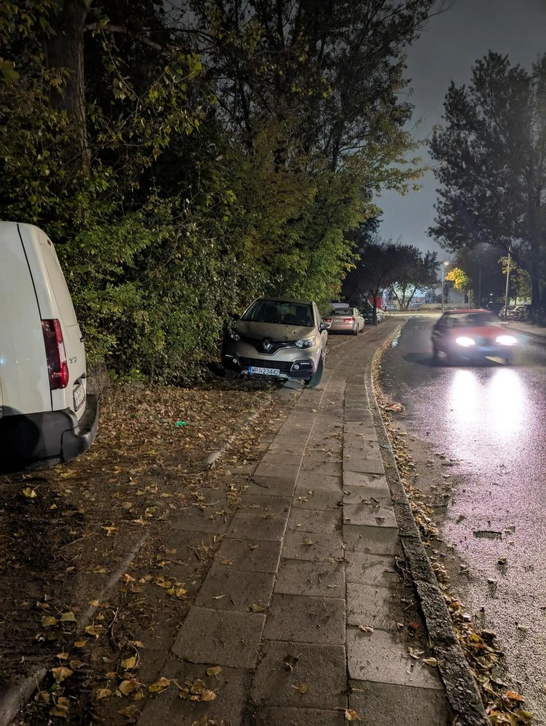Trawa i chodnik zaliczone no bo przecież zakazu nie ma ...
