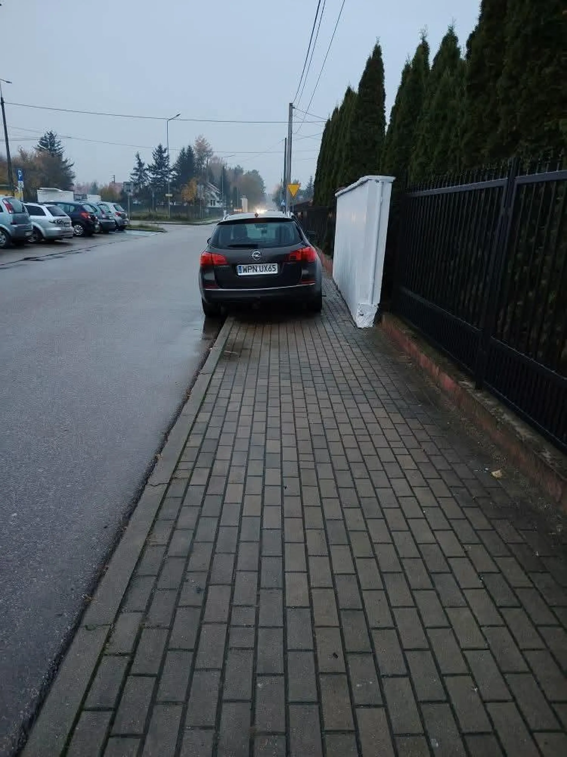 Od razu widać że prawo jazdy znalezione w Lays