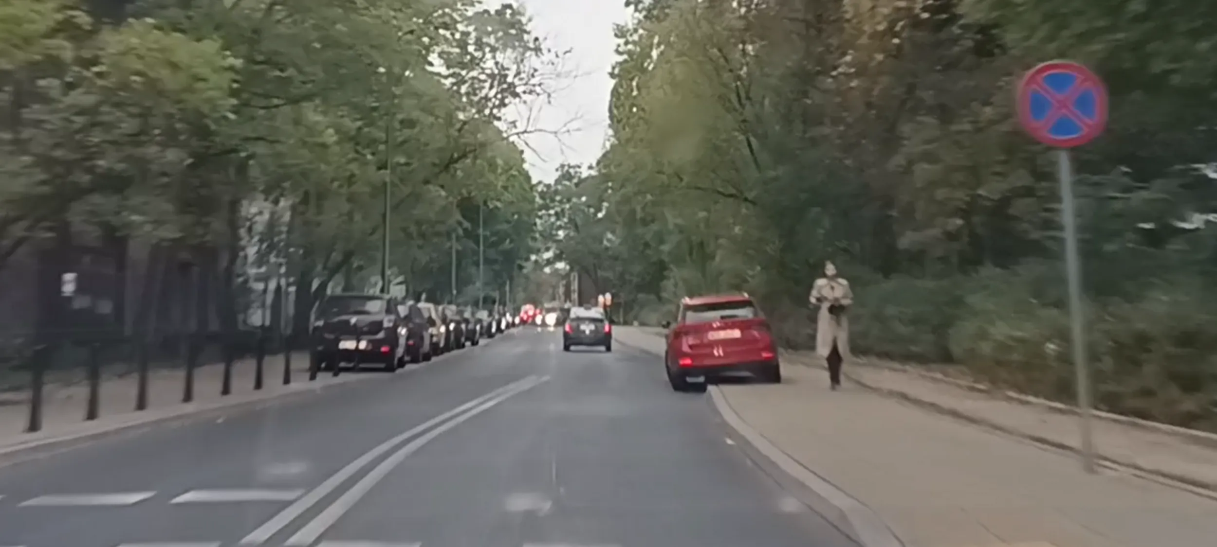 Babszczur parkuje na zakazie zatrzymywania się i postoju