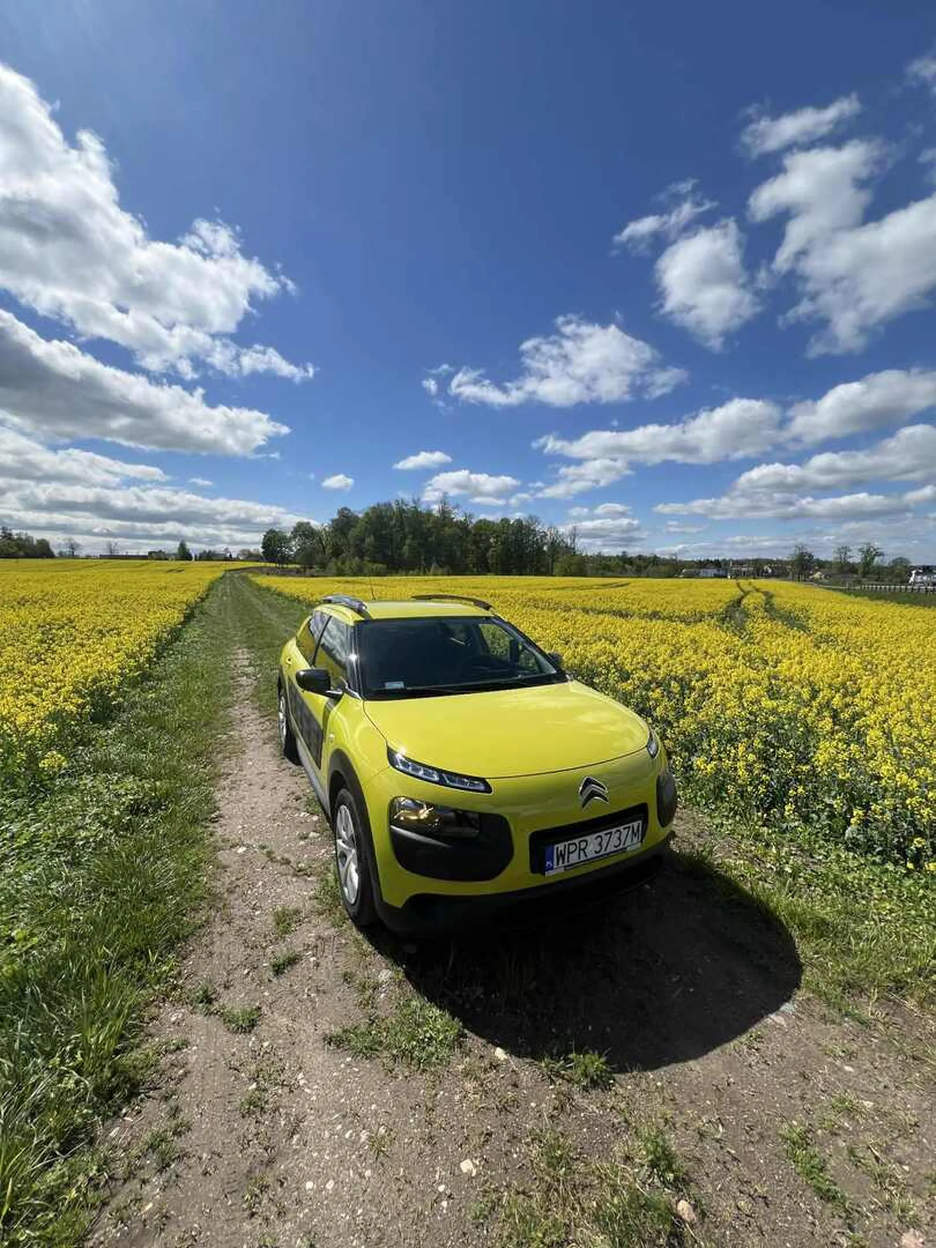 Kierowca prawo jazdy wygrał w chrupkach cheetos. Nie potrafi rozróżnić jezdni od zamkniętej drogi i wpierdala się na nie swoje pole bo mu niby wszystko wolno jak jeździ Citroënem widać ze nie stabilny mentalnie jak wybiera tego typu auta. Nie polecam
