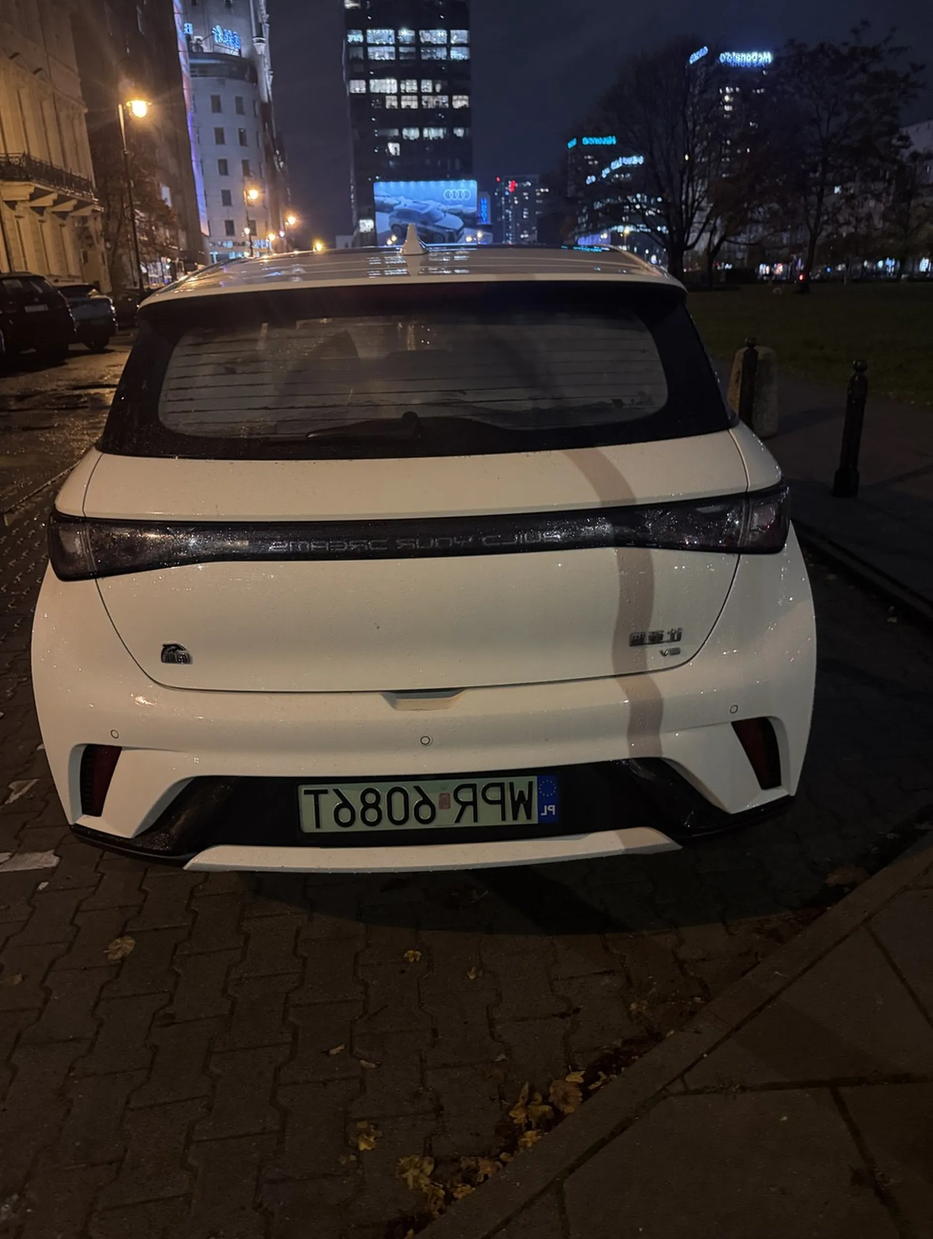 Pozostawienie psa w samochodzie