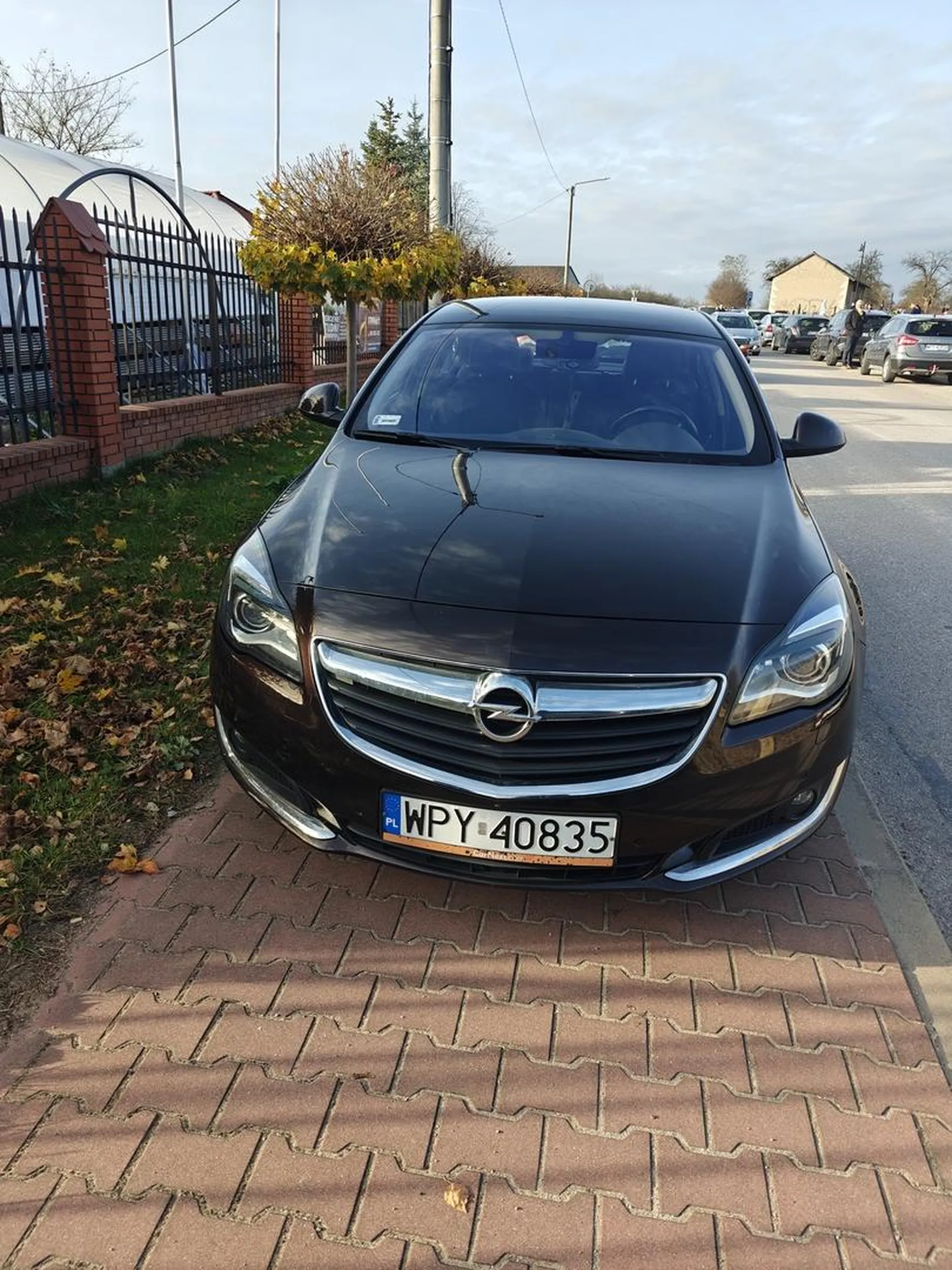 gratuluję braku mózgu