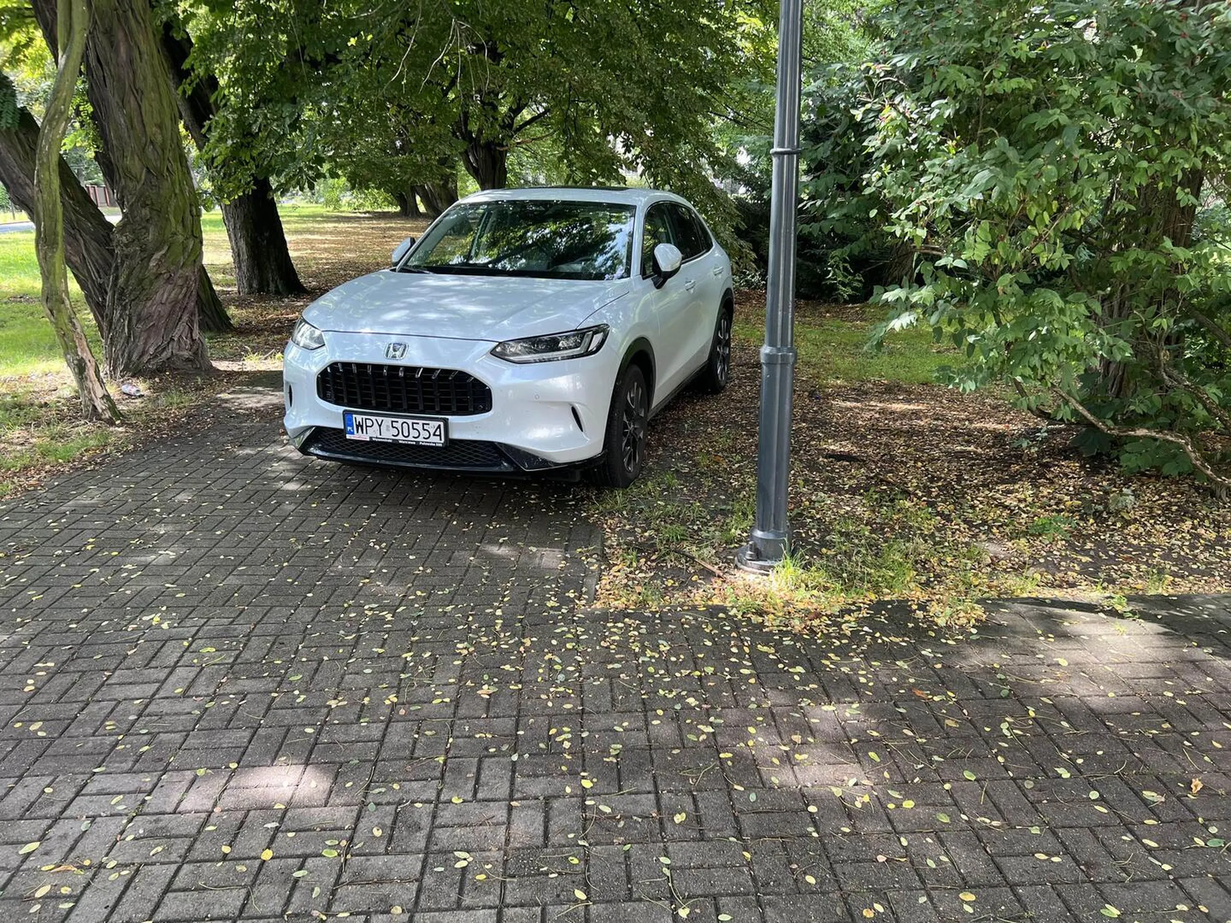 Po co parkować kawałek dalej na parkingu przy bibliotece, skoro można na ścieżce i trawniku w historycznym i zabytkowym parku.