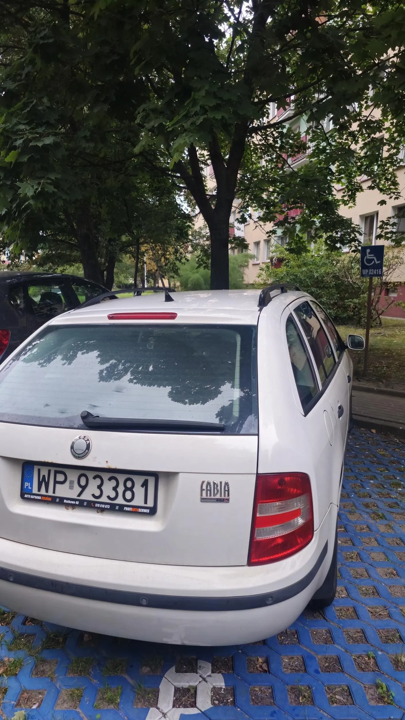 Baran zajmuje prywatne miejsce dla niepełnosprawnych należące do kogoś innego