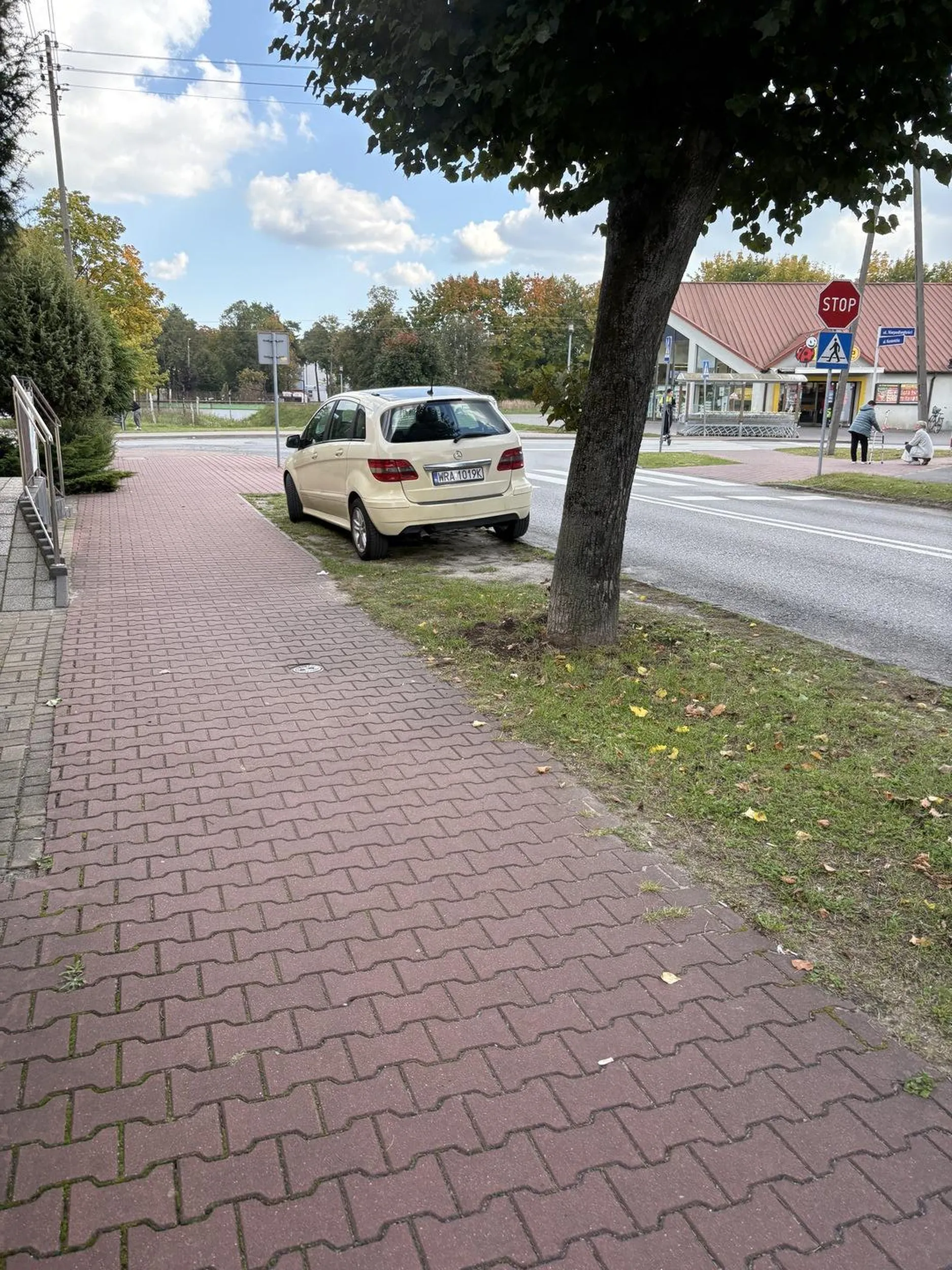 Parkowanie na trawniku w odległości mniejszej niż 10m od oznakowanego przejścia dla pieszych.