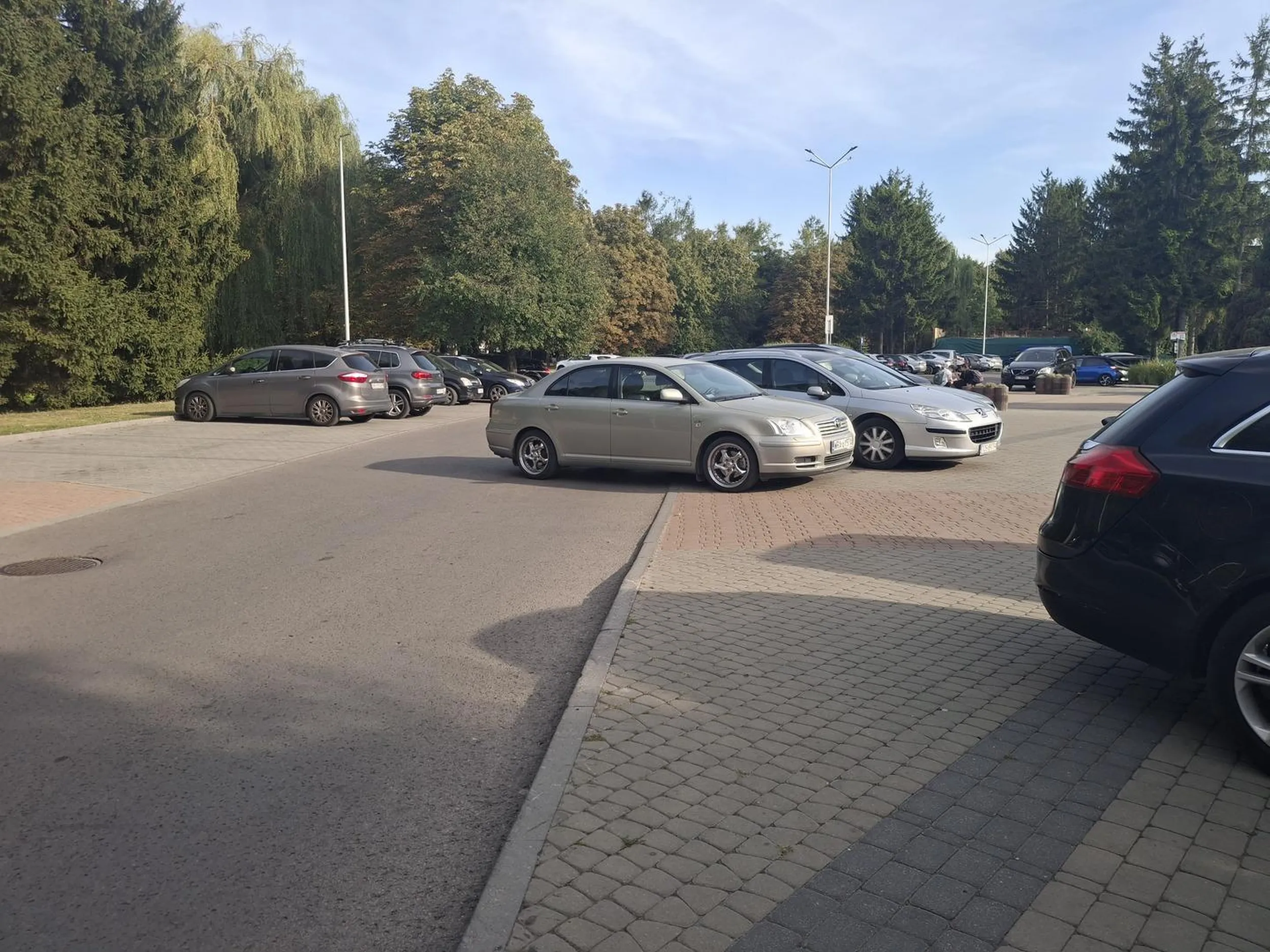 Mistrz parkowania!!! Bo w życiu ważniejsze jest popluskanie sie na Rawce niż bezpieczeństwo na drodze. Gratulacje !!!