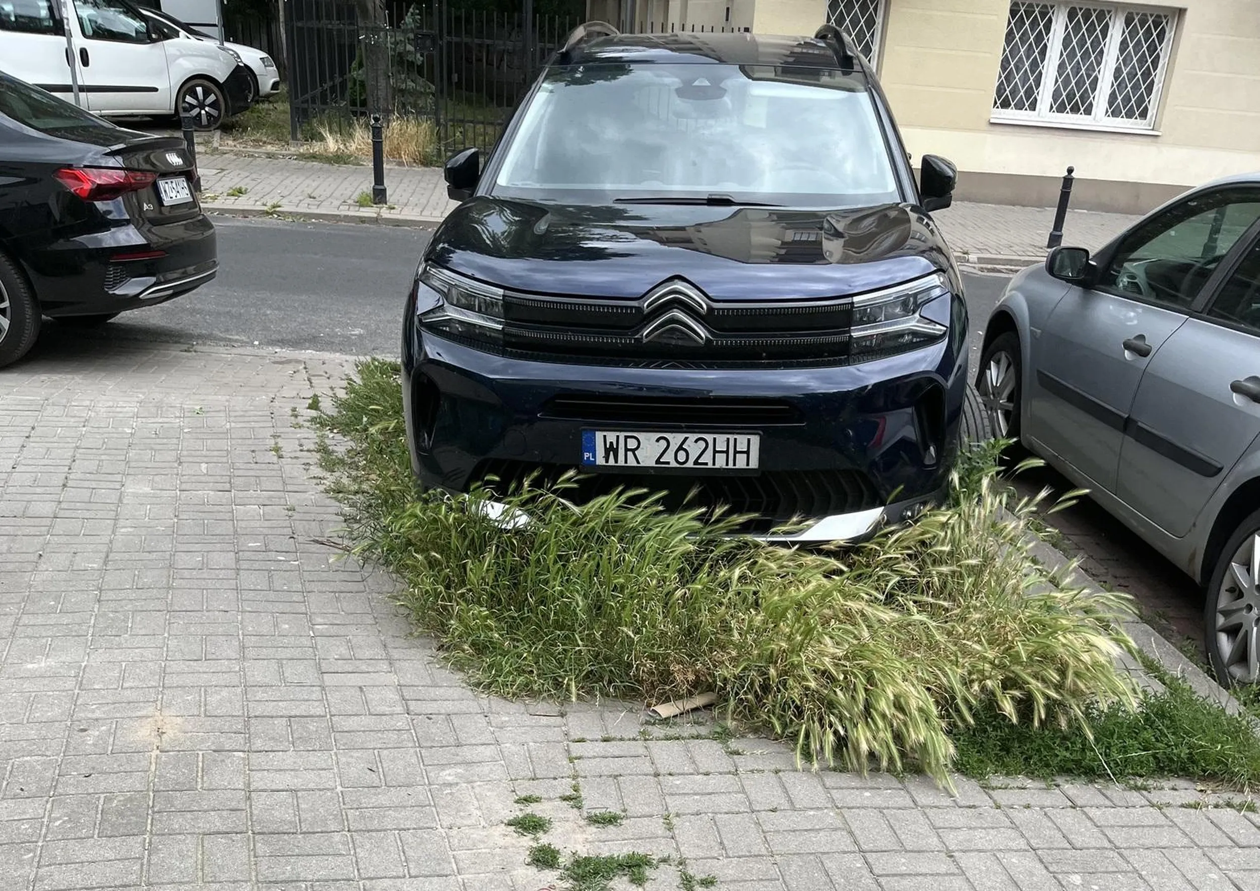 Brak miejsc parkingowych? Żaden problem, przecież można wepchnąć się na trawnik.