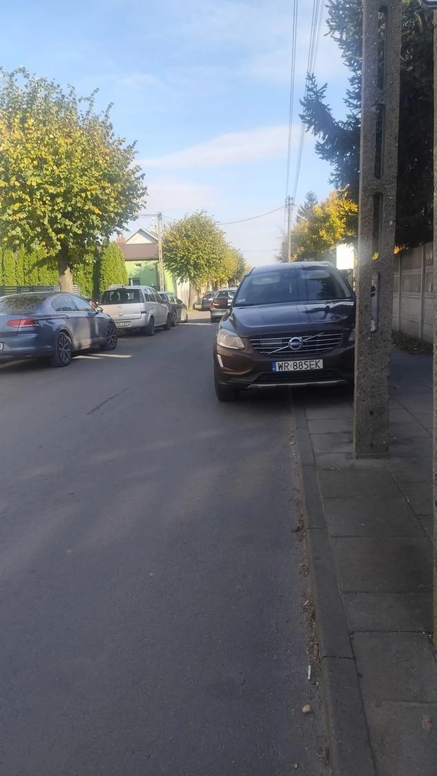 Radomskie ścierwo przyjechało do Aleksandrowa Łódzkiego i sobie wjechało pod prąd jakby nigdy nic.