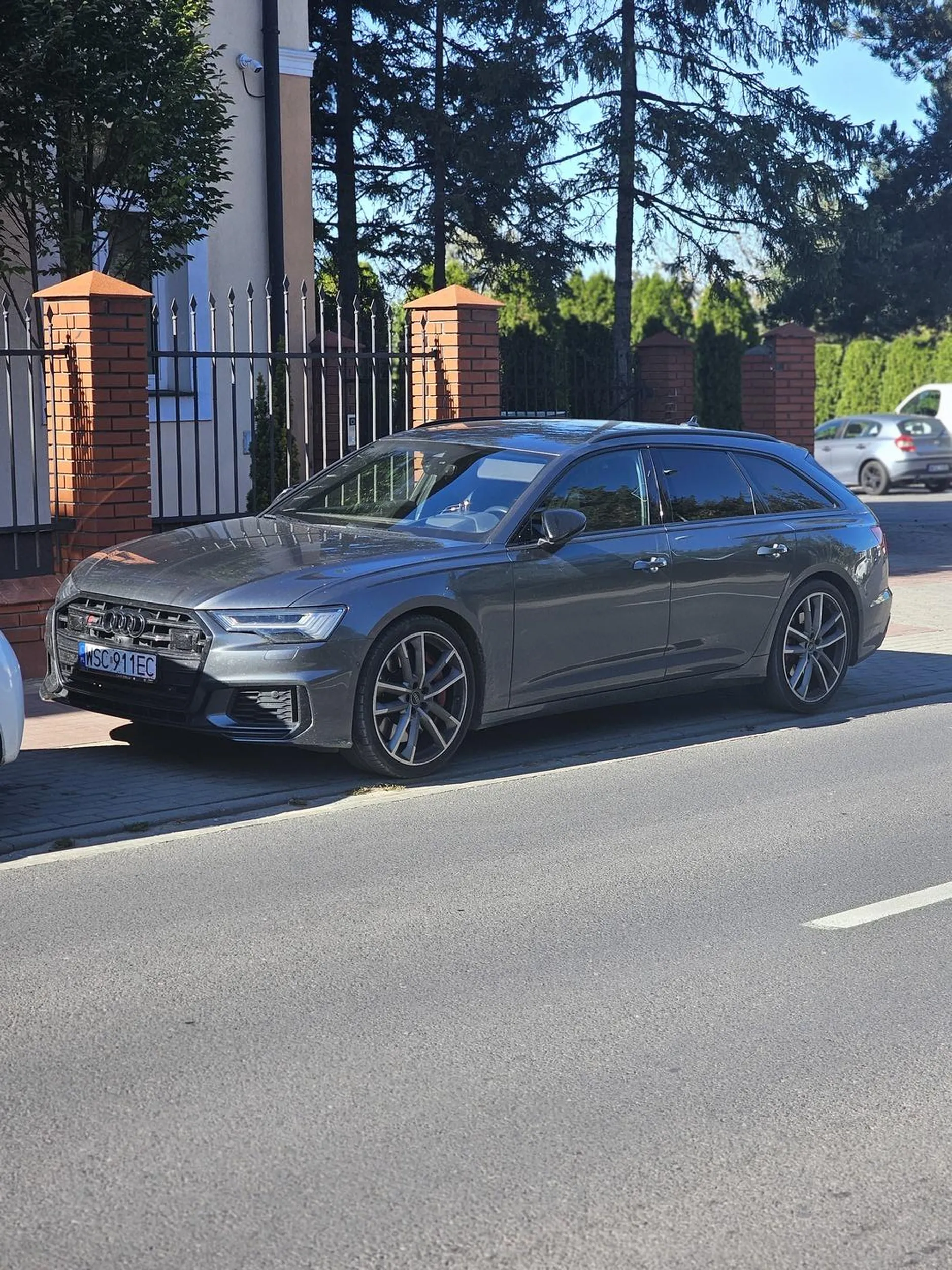 Baran blokował pas i robił zamieszanie na skrzyżowaniu Uważać