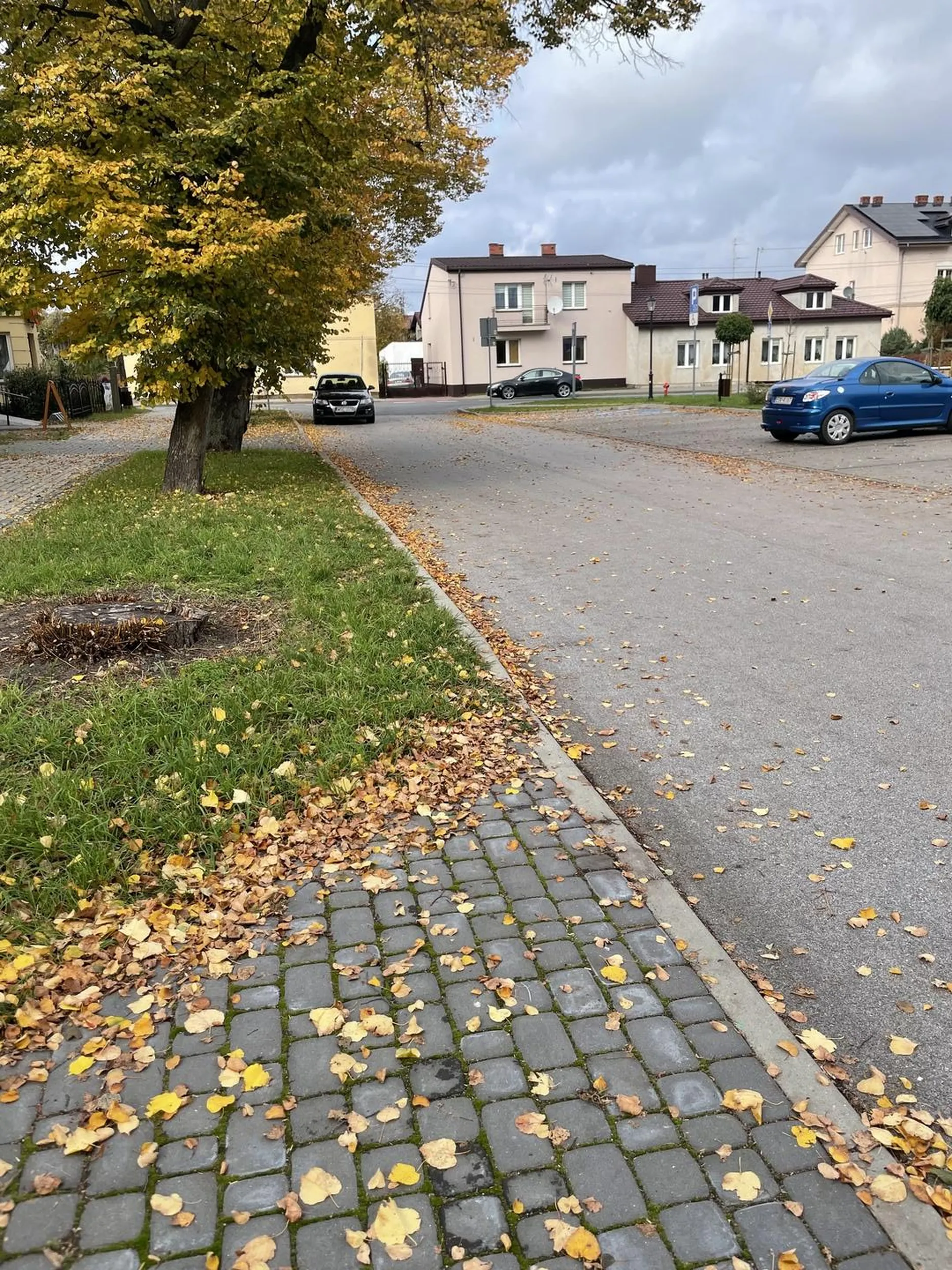 Gościu nie potrafi zaparkować na parkingu