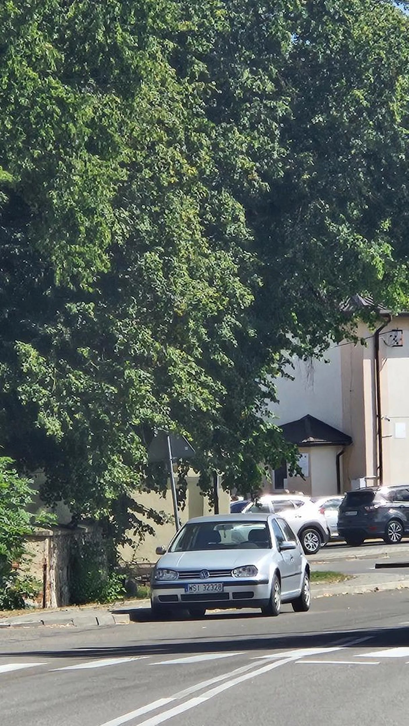 Miejsce parkingowe dla prawdziwej bestii