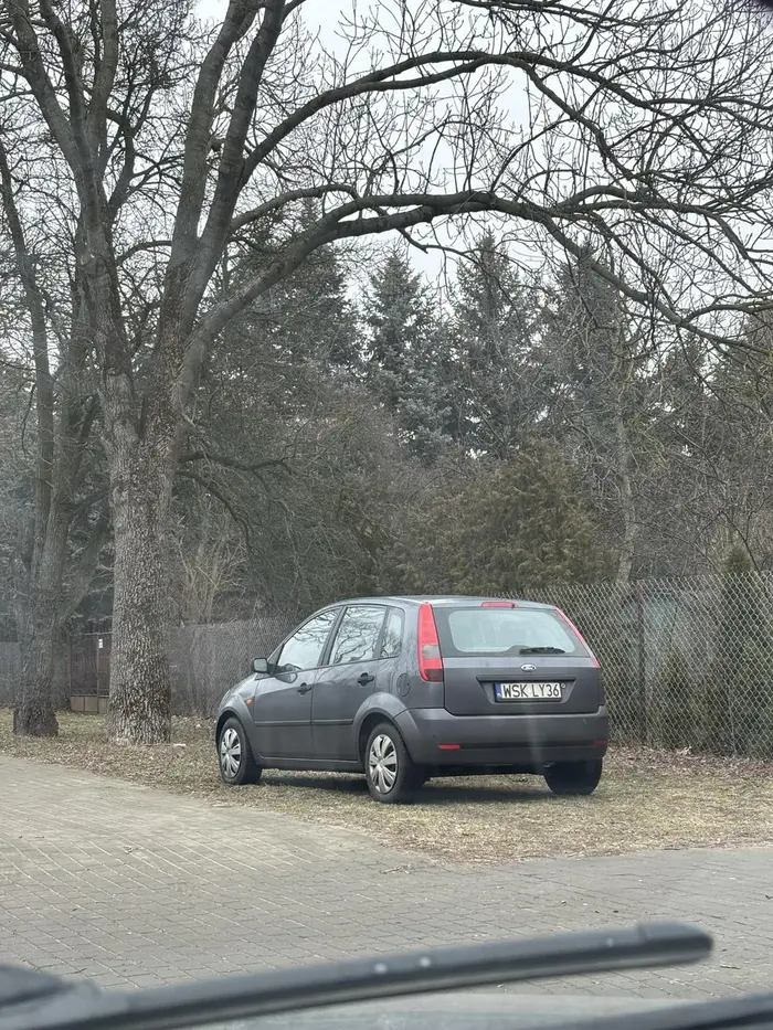 Naucz się parkować ciamajdo