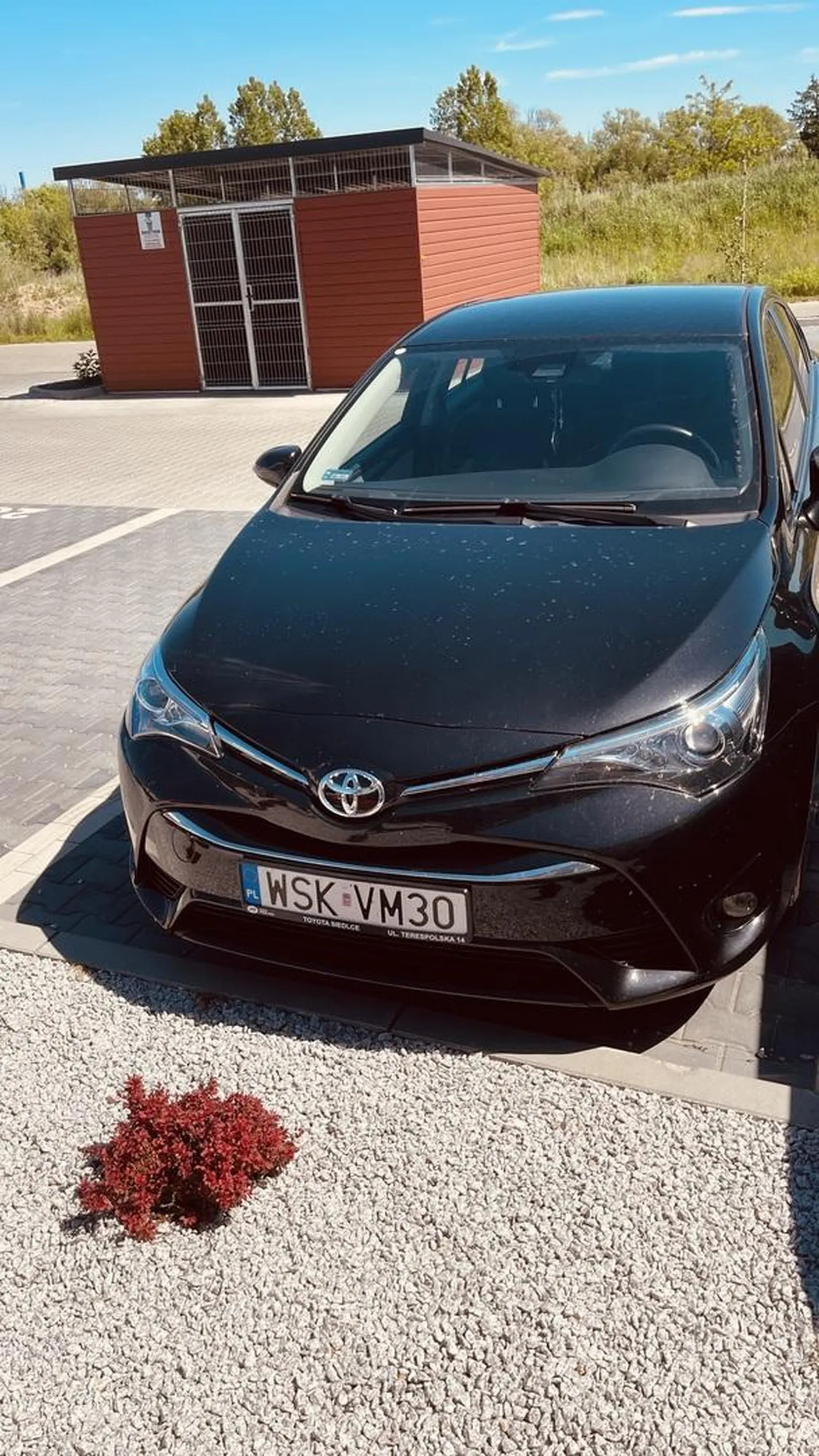 Pomimo wolnych miejsc kierowca tego auta parkuje na prywatnym miejscu parkingowym