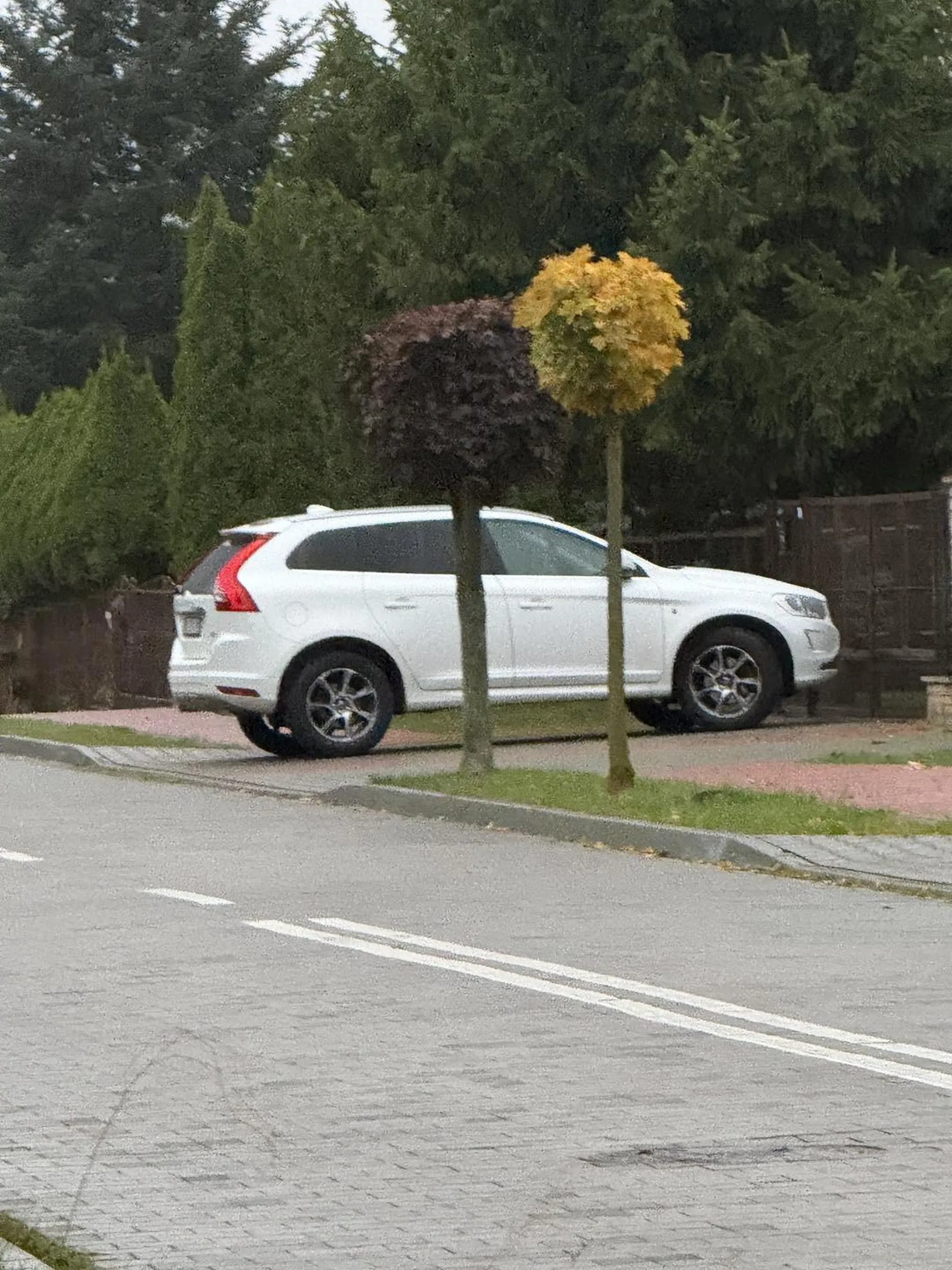 Pojazd zastawiał chodnik (mniej niż 1,5 m, art. 47. 1 prd). Dodatkowo pojazd znajdował się na chodniku mając ponad 2,5 t DMC. Pojazd marki Volvo od miesięcy uporczywie parkuje przed swoja posesją zastawiając wszerz cały chodnik nie zostawiając w ogóle miejsca dla pieszych. Pieszy musi wyjść na ulicę aby go ominąć. Złośliwy właściciel mimo wielu upomnień i mandatów nadal nie stosuje się do przepisów ruchu drogowego. Parkuje przed własną bramą którą codziennie mógłby otwierać i wjeżdżać na posesję. Prosimy o ostateczną interwencję i ukaranie recydywisty.