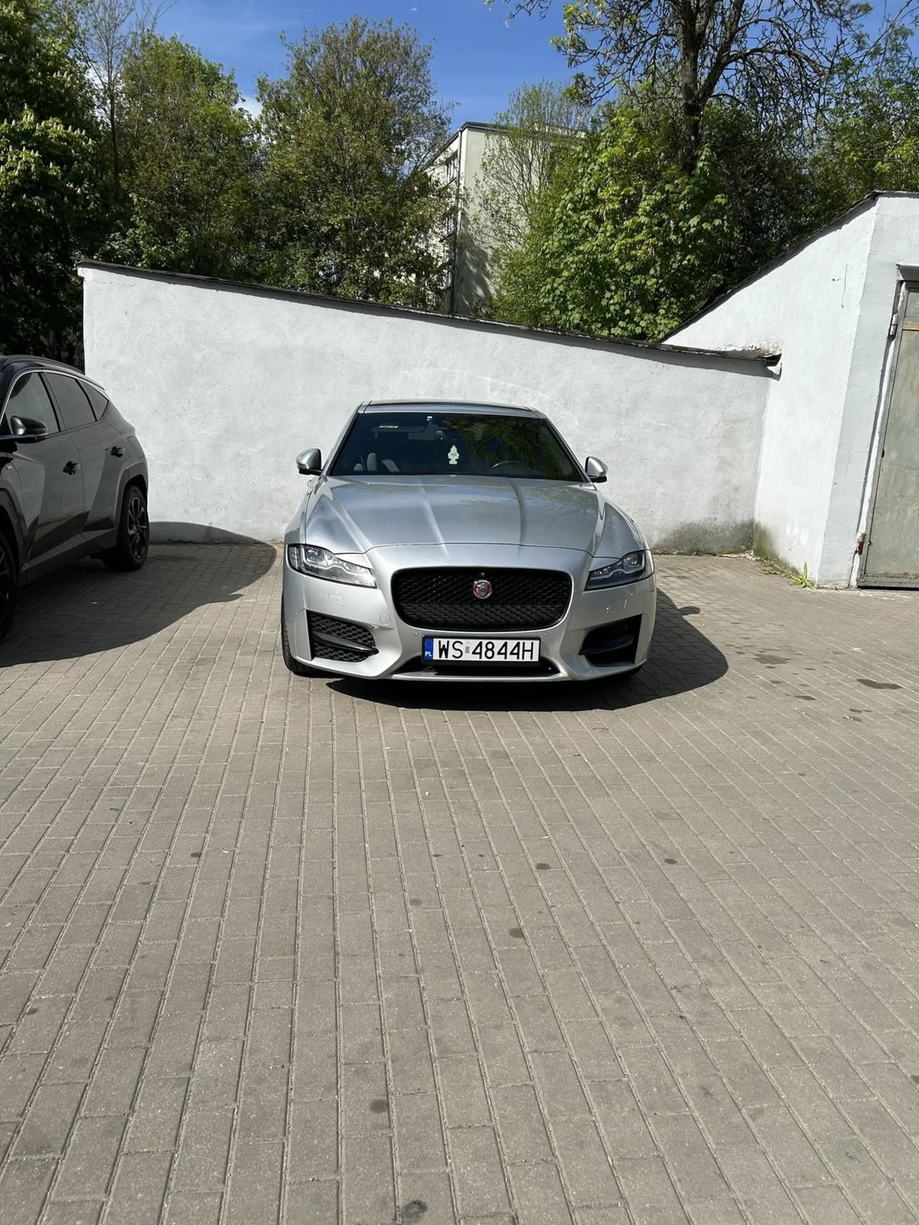 Naucz się parkować chamie