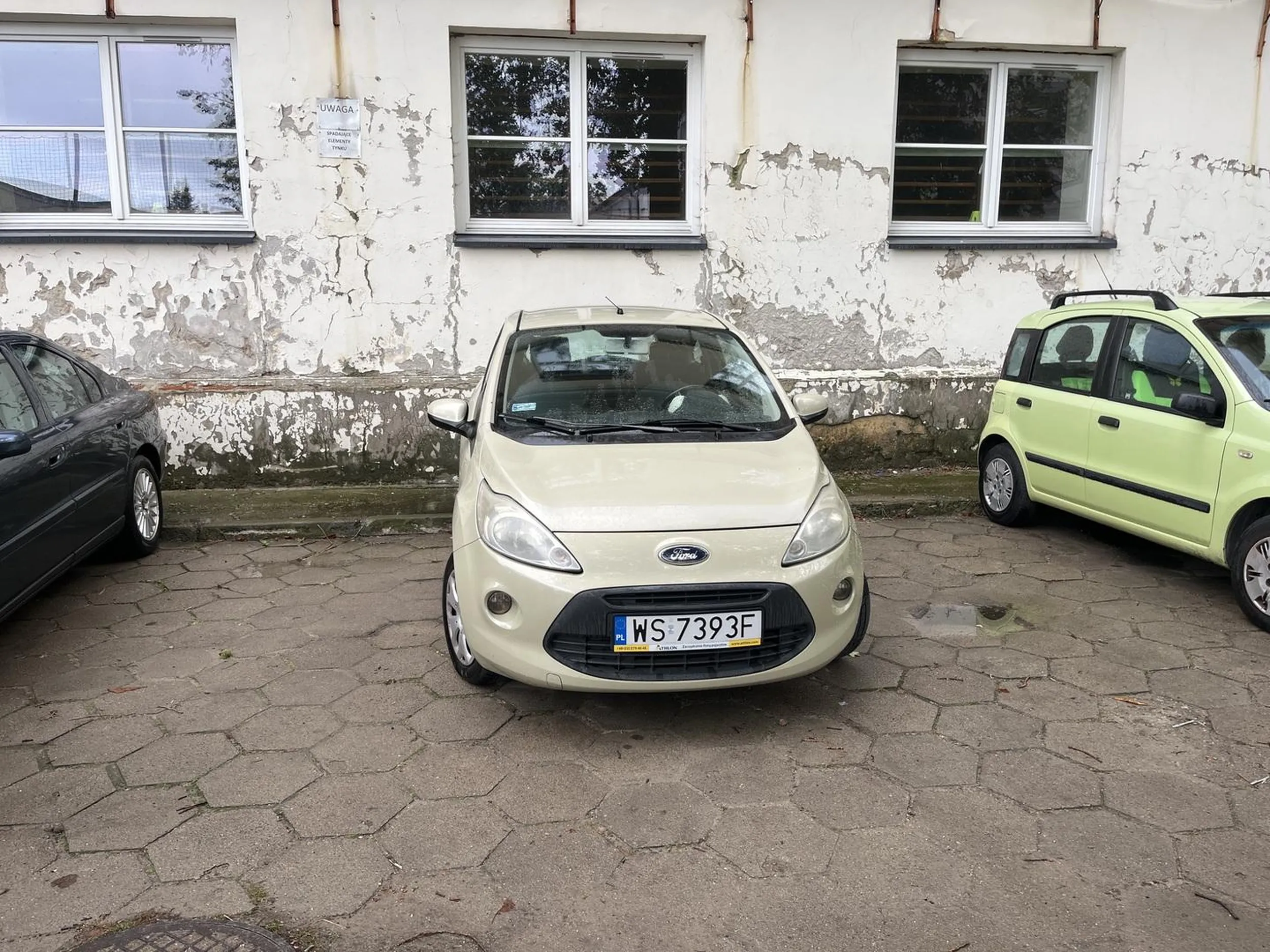 Naucz sie parkowac w wyznaczonym obszarze