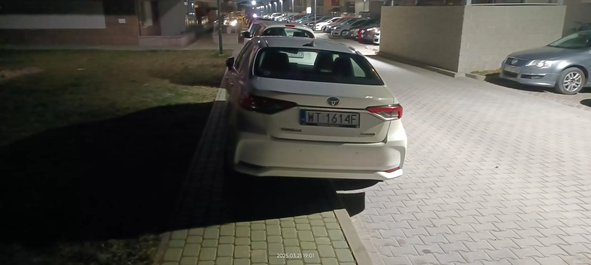 Święta krowa chodnikowa.