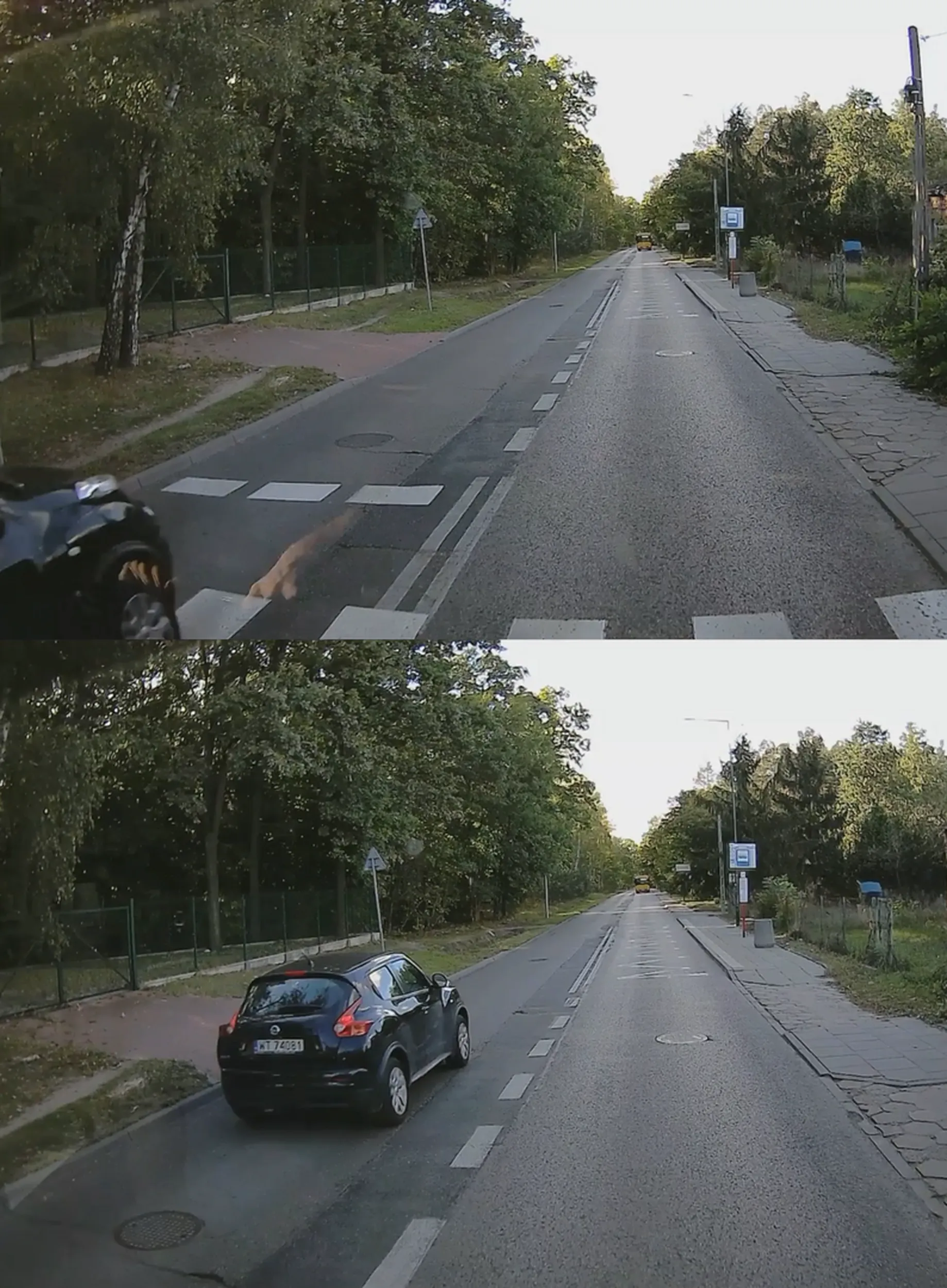 Przejście dla pieszych, podwójna ciągła, idealne miejsce na wyprzedzanie. Warszawa Wesoła, ul. Szosowa przy ul. Sosnowej