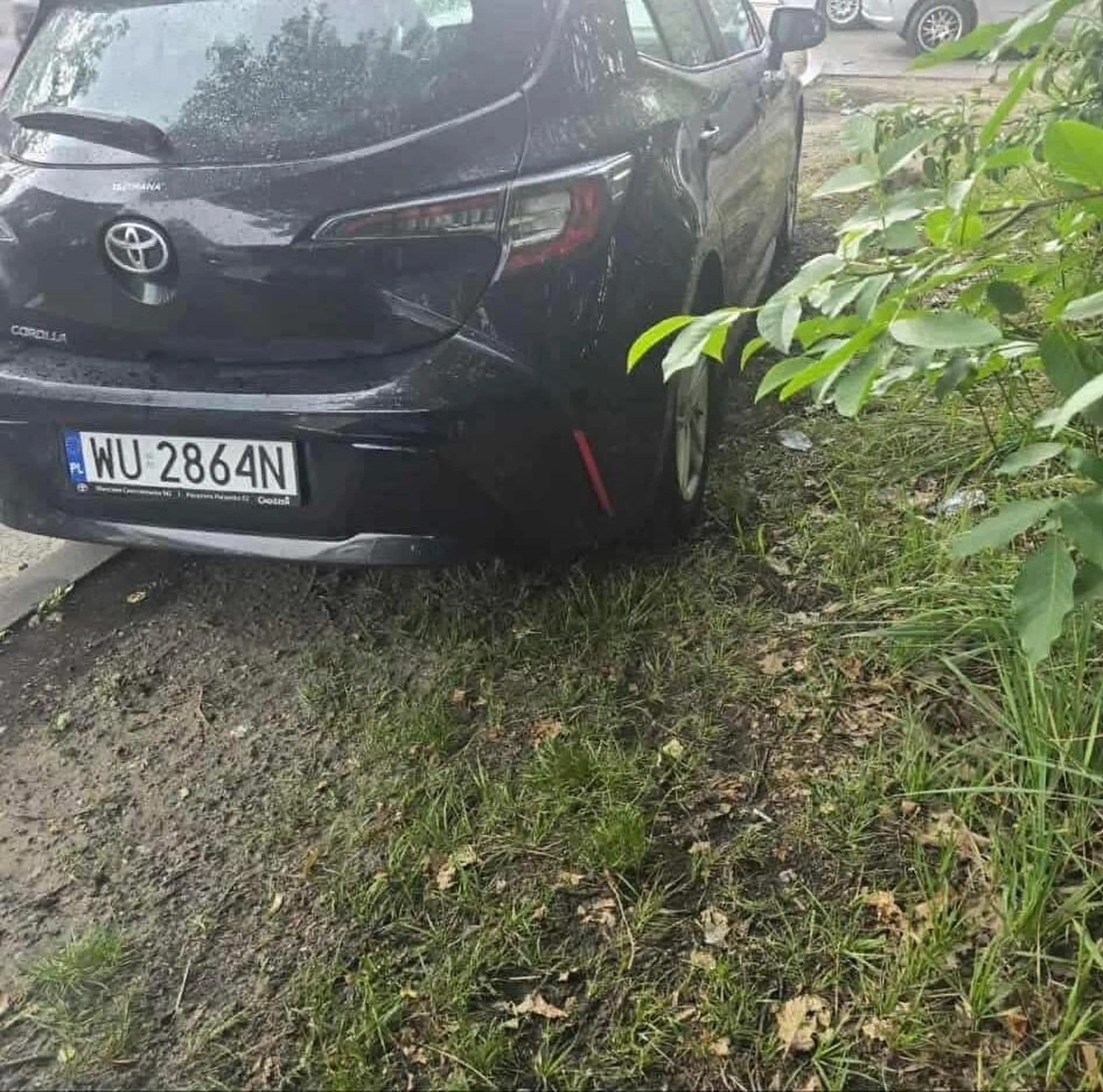 Chamie, nie parkuj na zieleni!