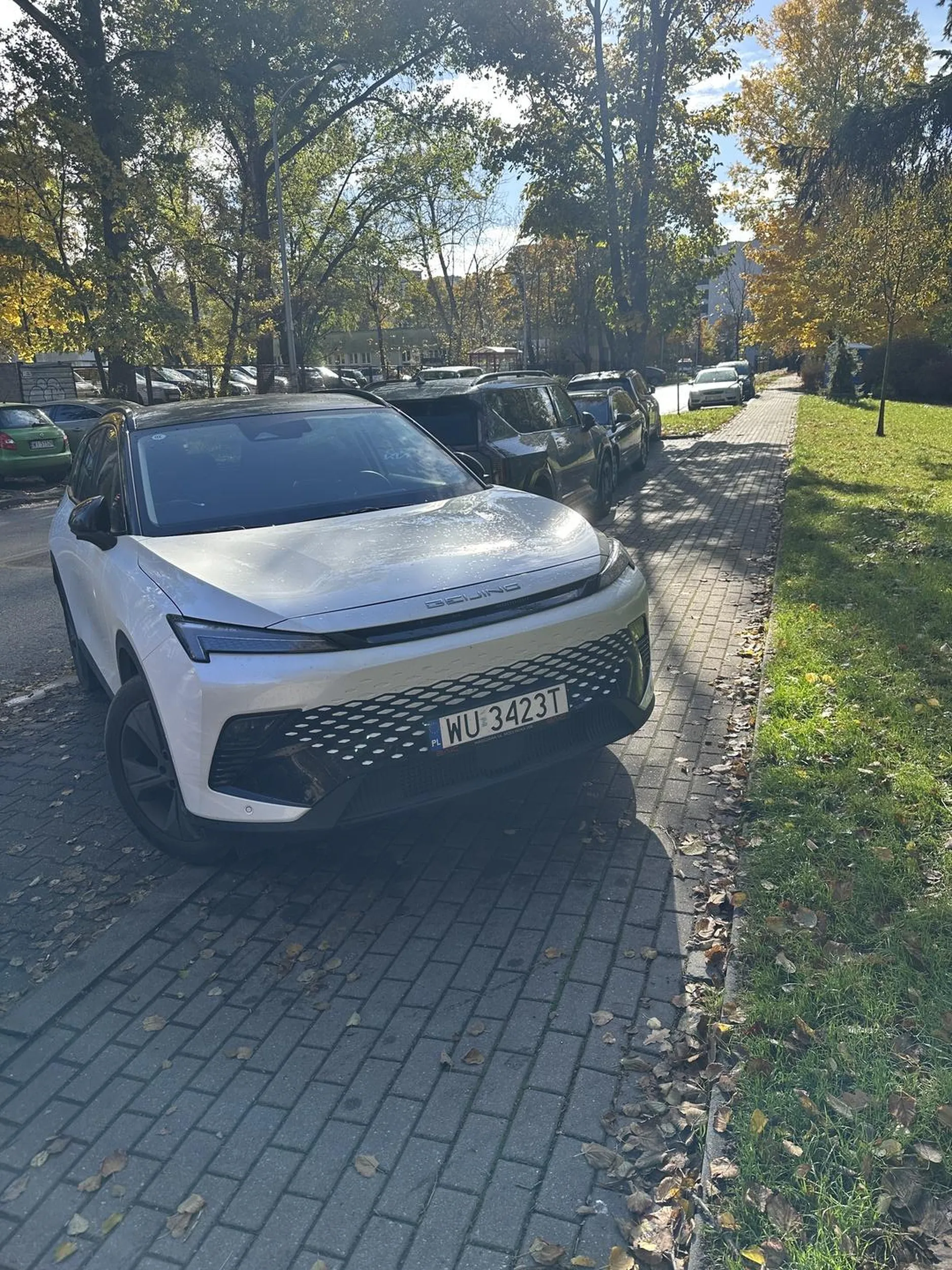 Chodnik tuż przy Szpitalu - ul. Brylowska w Warszawie. Szczyt bezczelności.