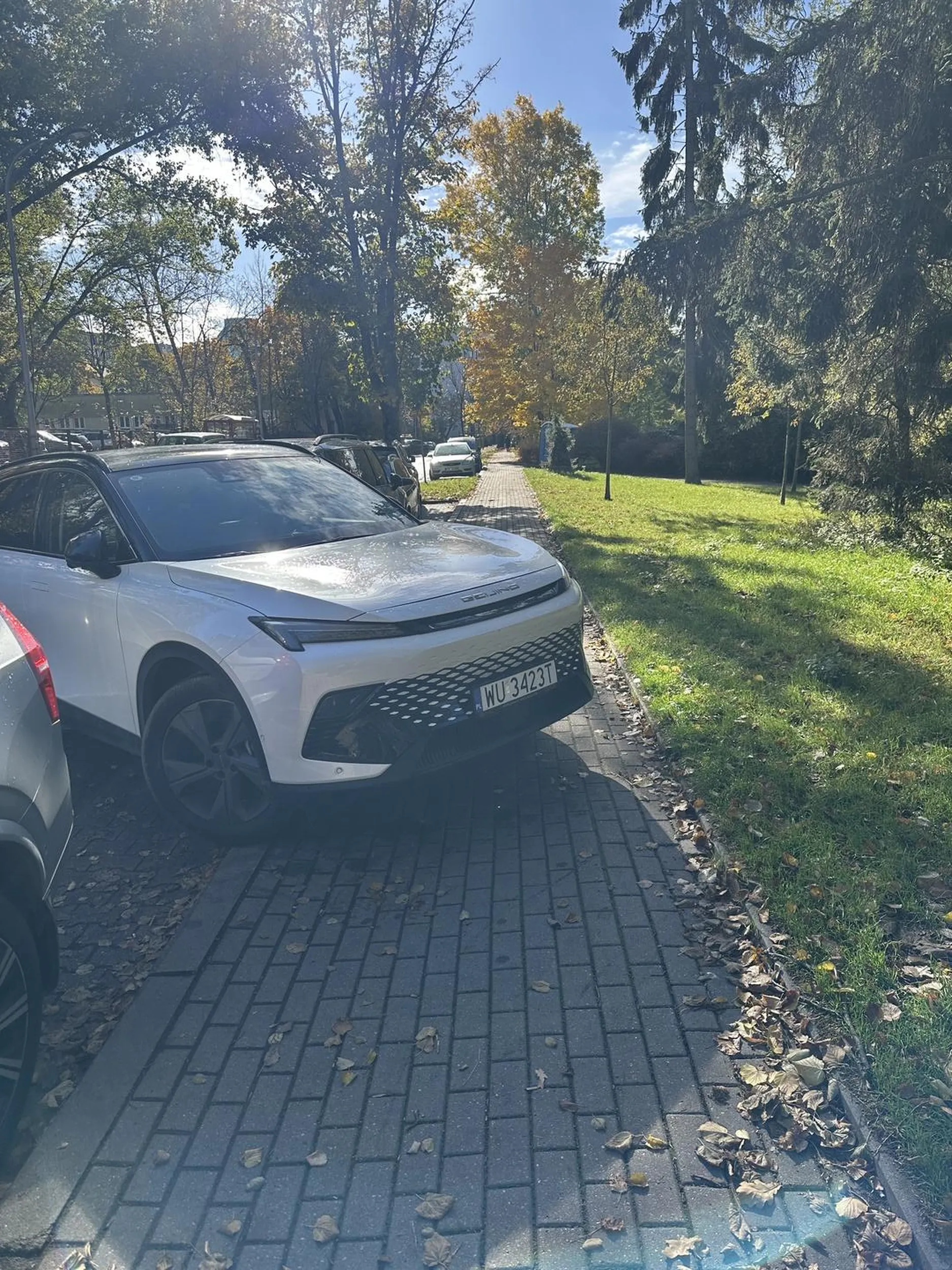 Chodnik tuż przy Szpitalu - ul. Brylowska w Warszawie. Szczyt bezczelności.