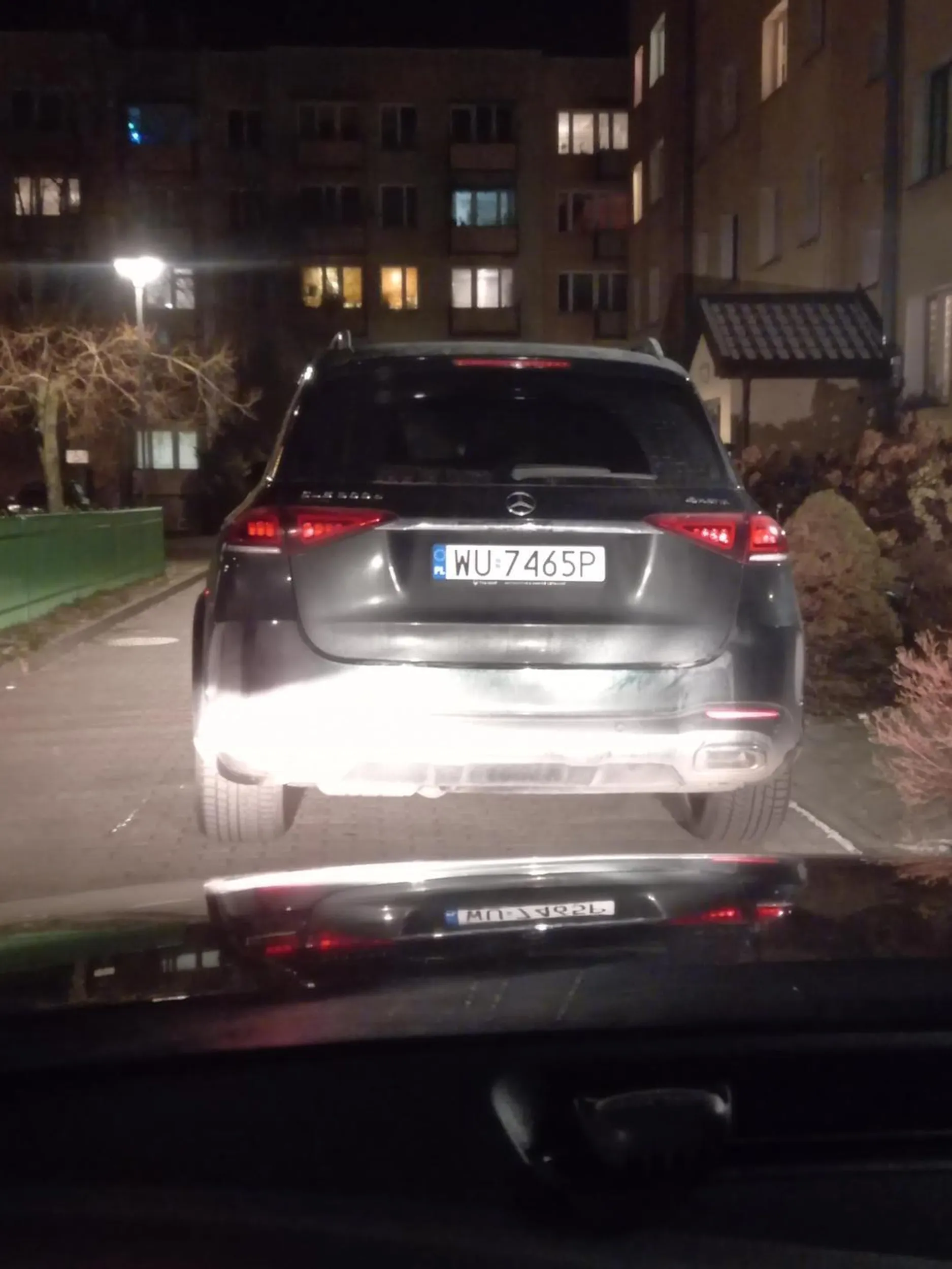 Wielki panicz blokuje przejazd