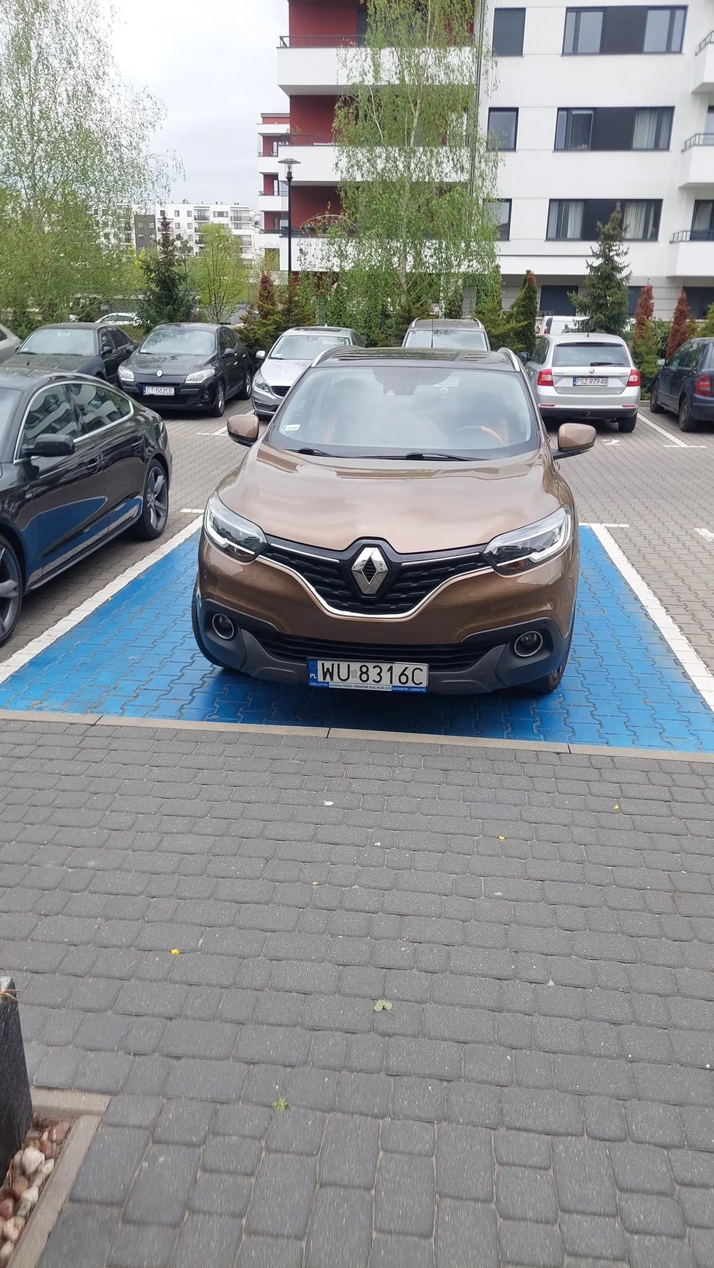 Na grata pieniądze były ale na prawo jazdy i kulturę już nie. Stoi na miejscu dla niepełnosprawnych bez karty.