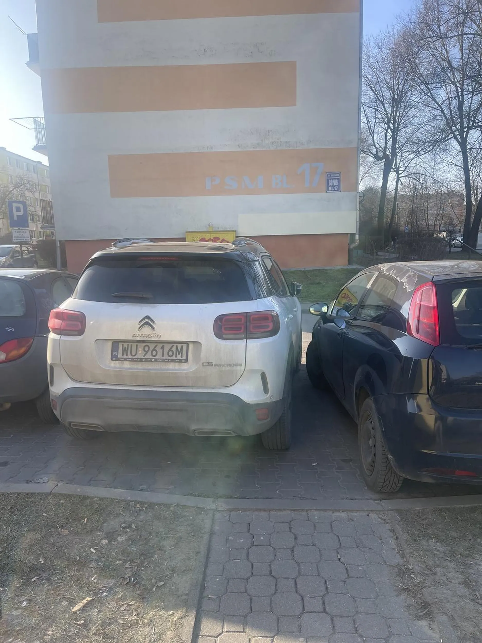 Przy parkowaniu ma gdzieś innych kierujących i czy będą mogli wejść do auta czy nie.