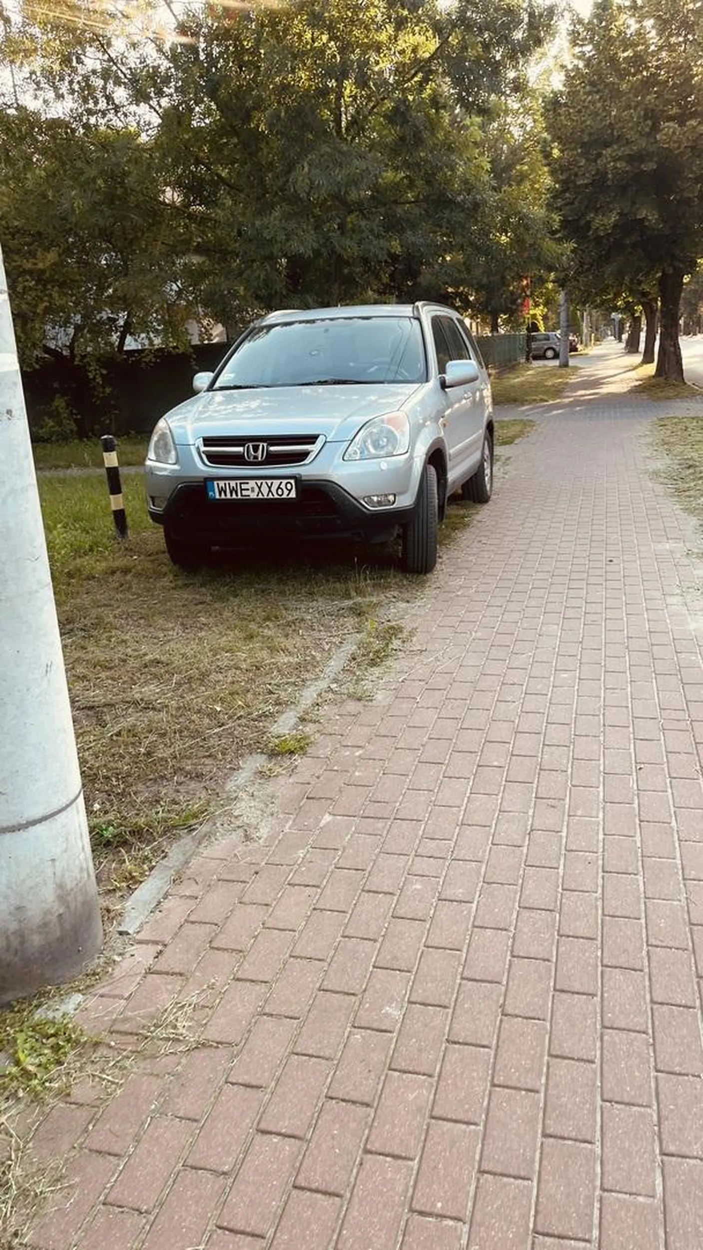 lubię sobie niszczyć publiczne trawniki