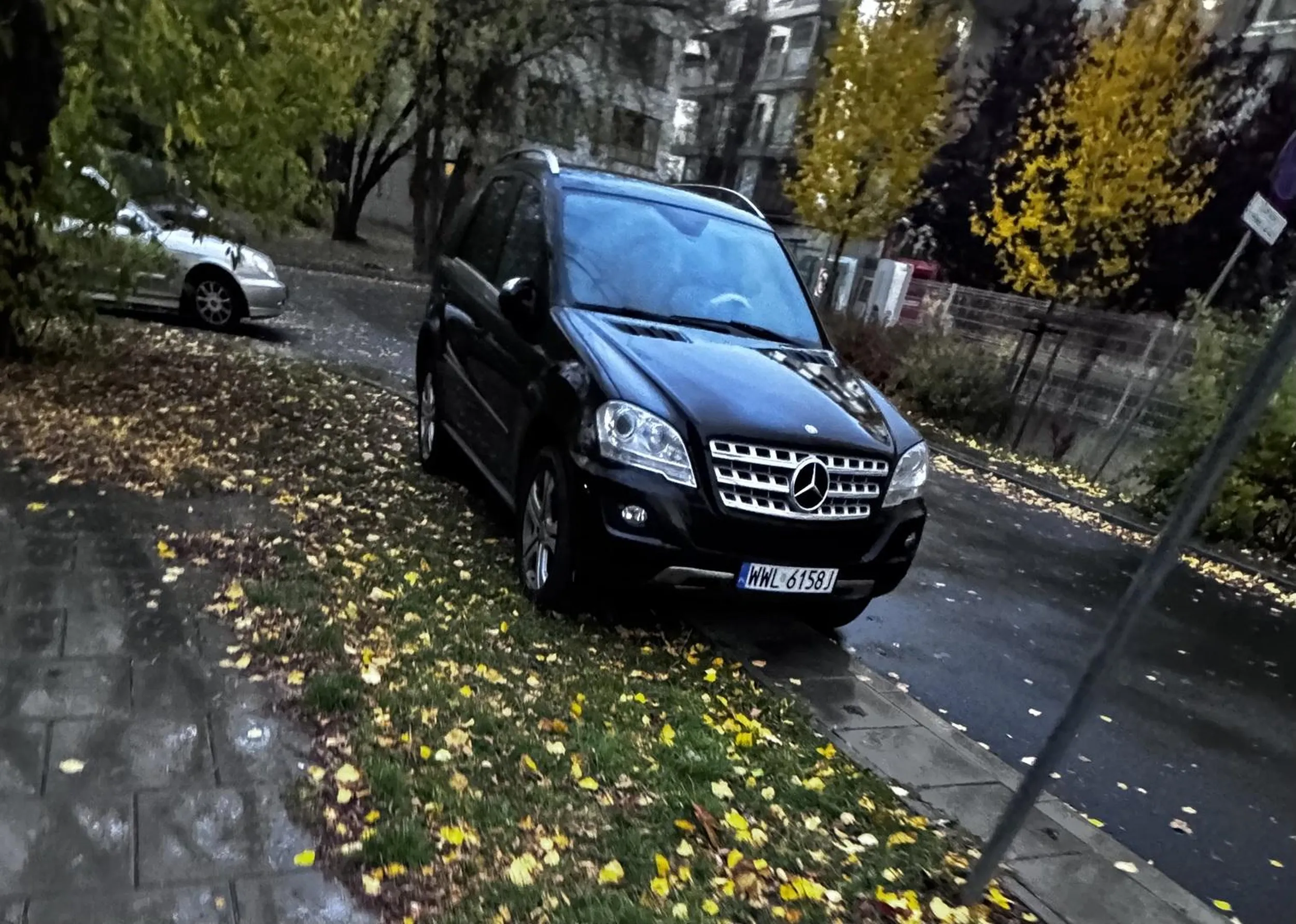 Chamie, nie niszcz miejskiej zieleni. Bokserska 54A