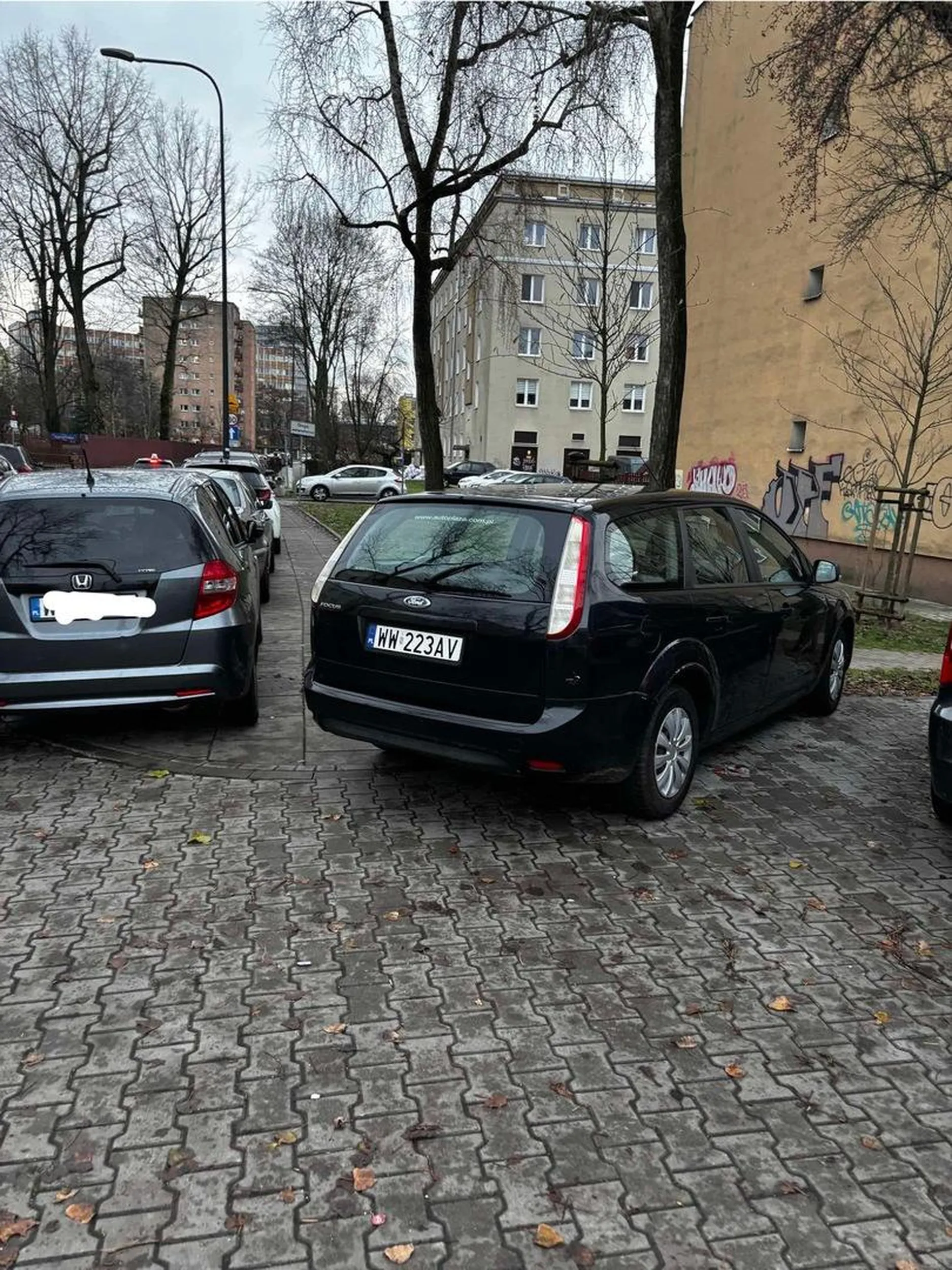 Szkoda strzępić ryja