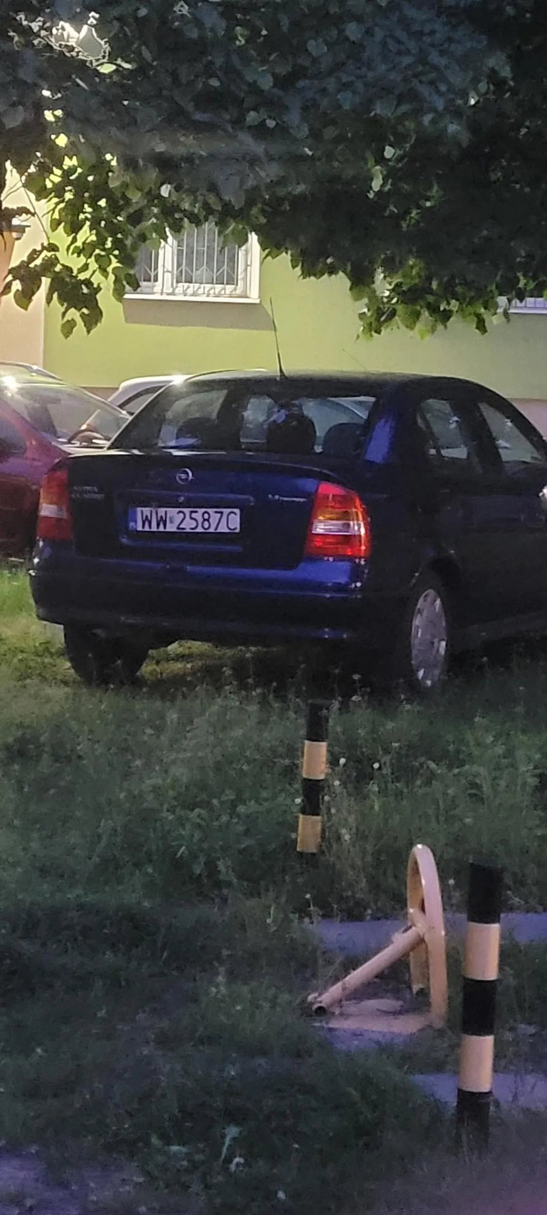 Parkowanie na środku trawnika. Level expert.