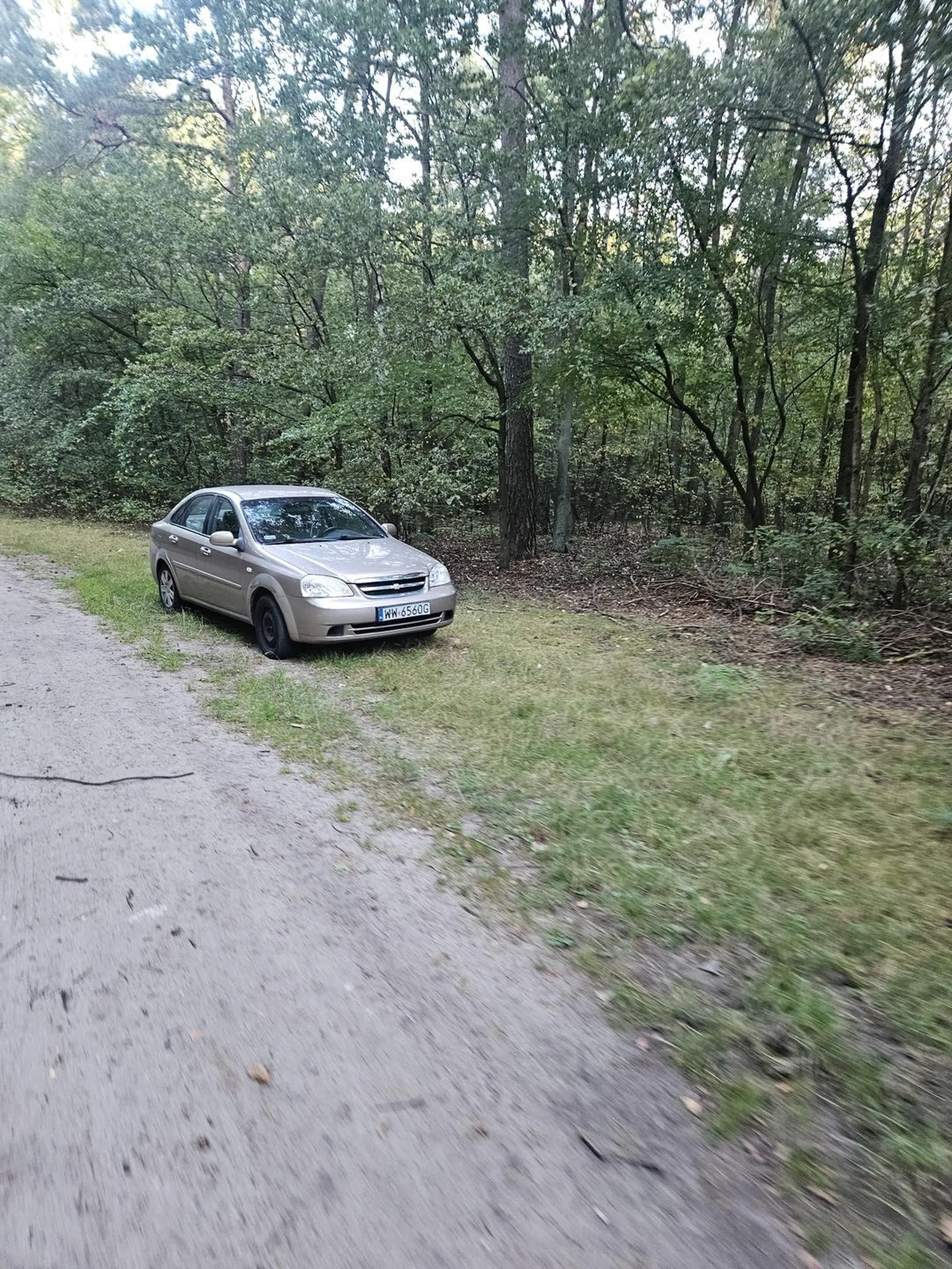 Pała parkuje w środku lasu