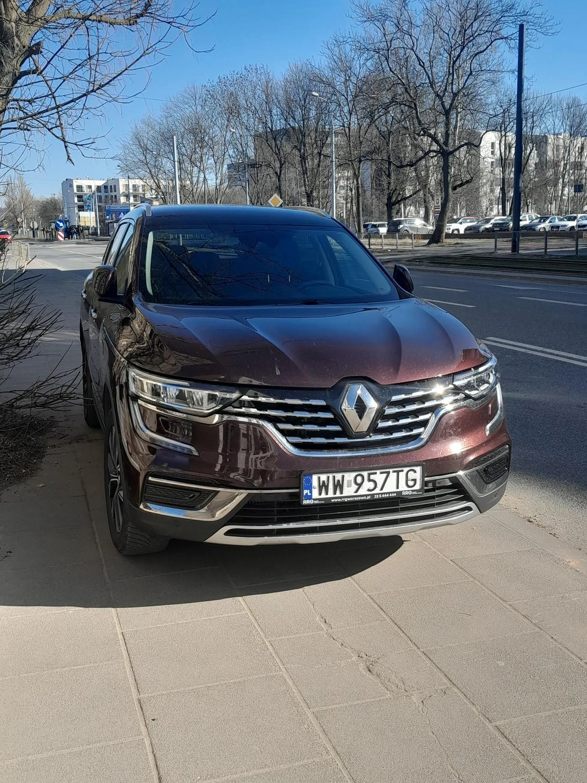 Na ul. Pomorskiej w Łodzi postanowił zaparkować na chodniku obok sztywnych gałęzi tak, by piesi musieli przechodzić ulicą specjalnie, bo chodnik w pełni zajęty :)