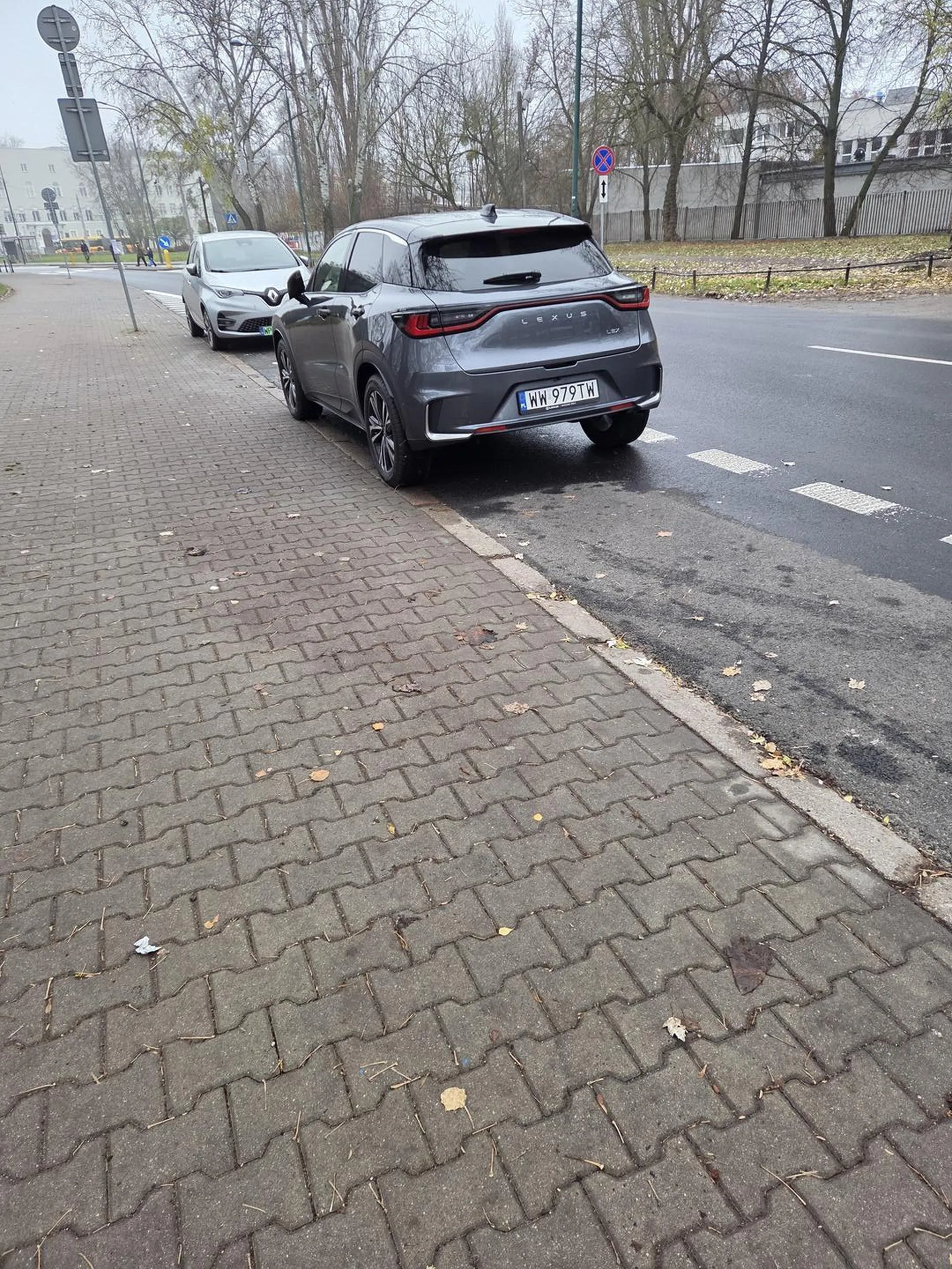 Mistrzunio parkowania dwa miesca plus chodnik