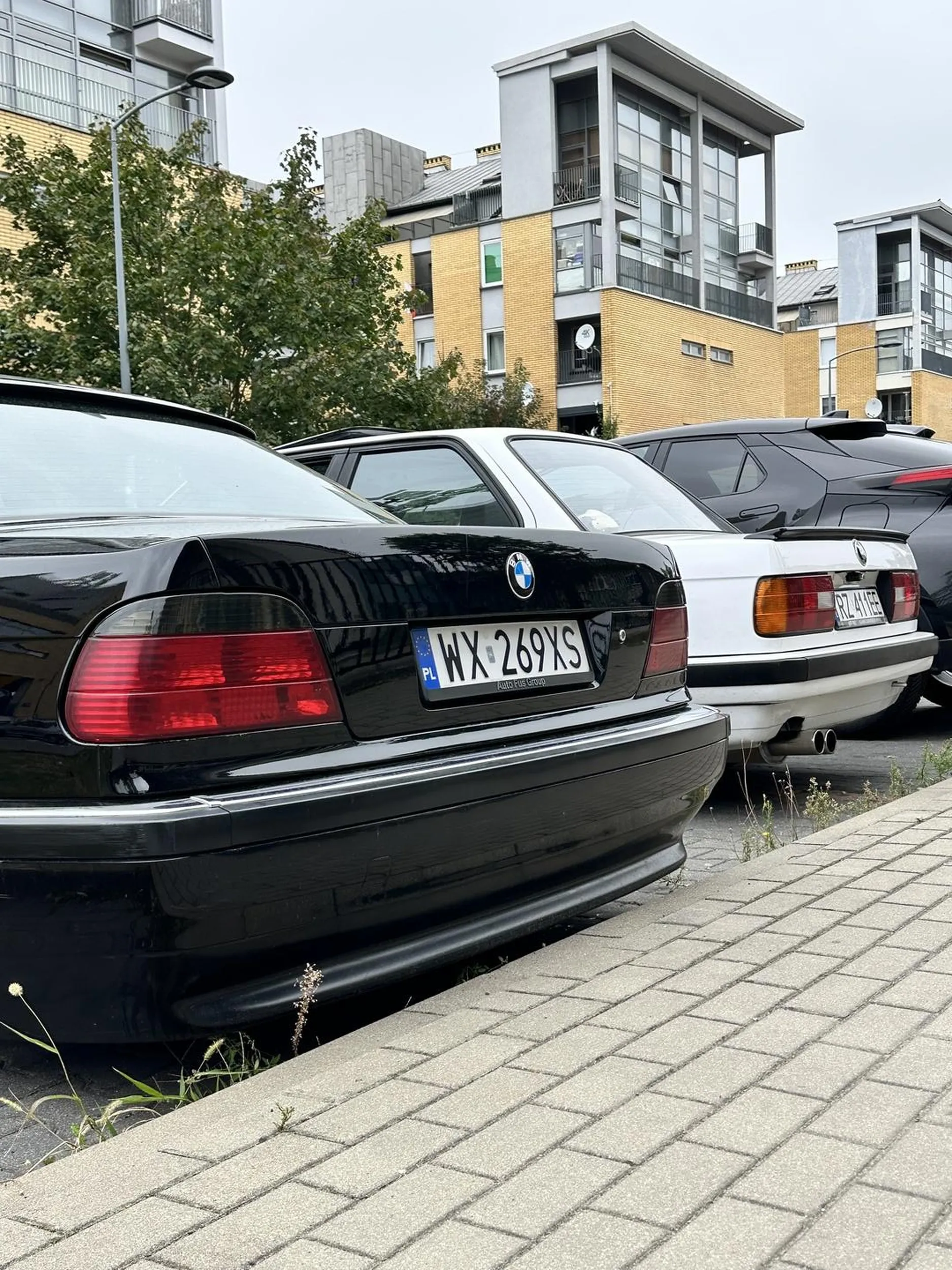 No całkiem fajna ta 7 ;) Moja 3 malutka jak fistaszek przy twojej gablocie. Pozdrawiam