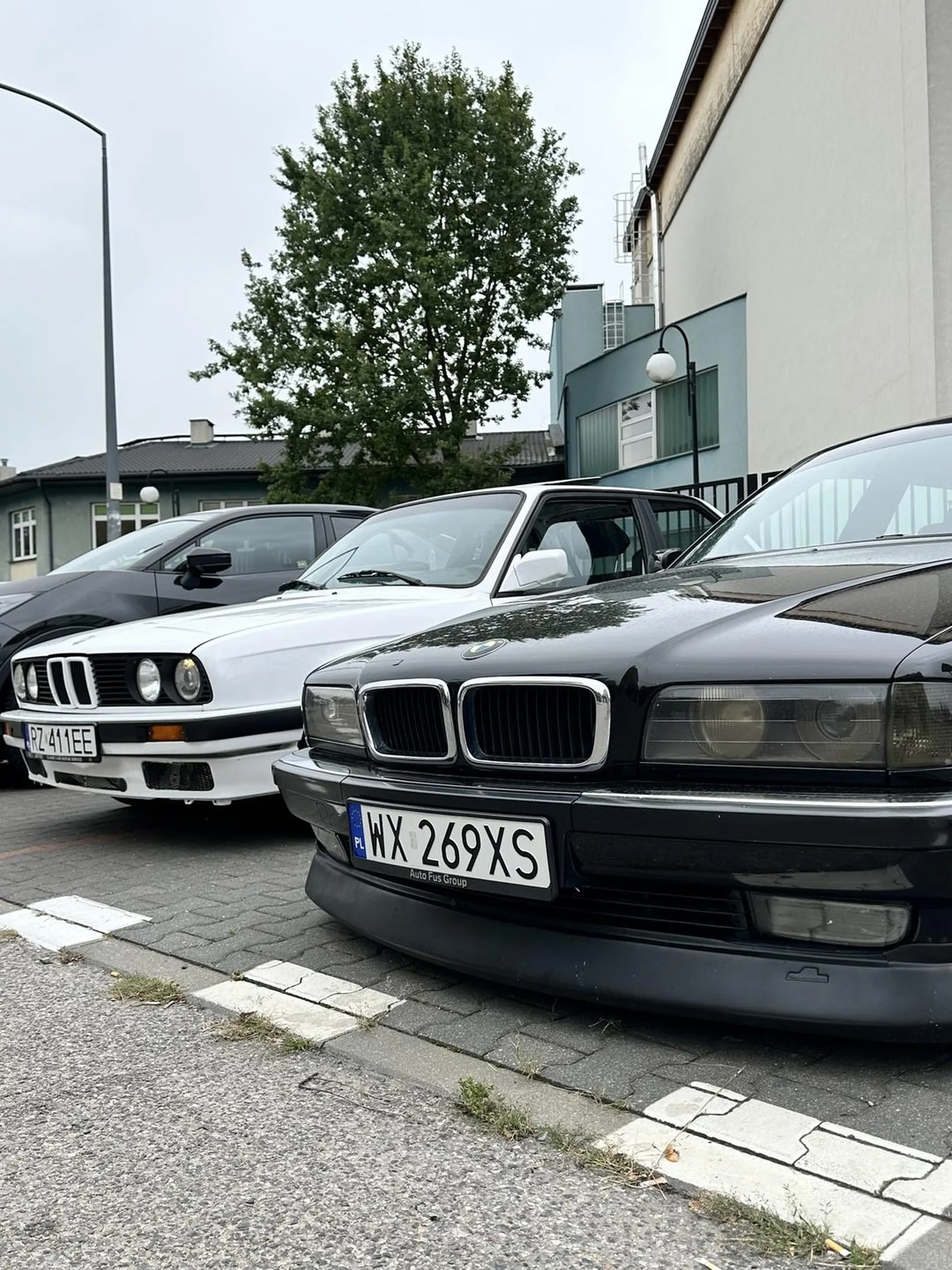 No całkiem fajna ta 7 ;) Moja 3 malutka jak fistaszek przy twojej gablocie. Pozdrawiam