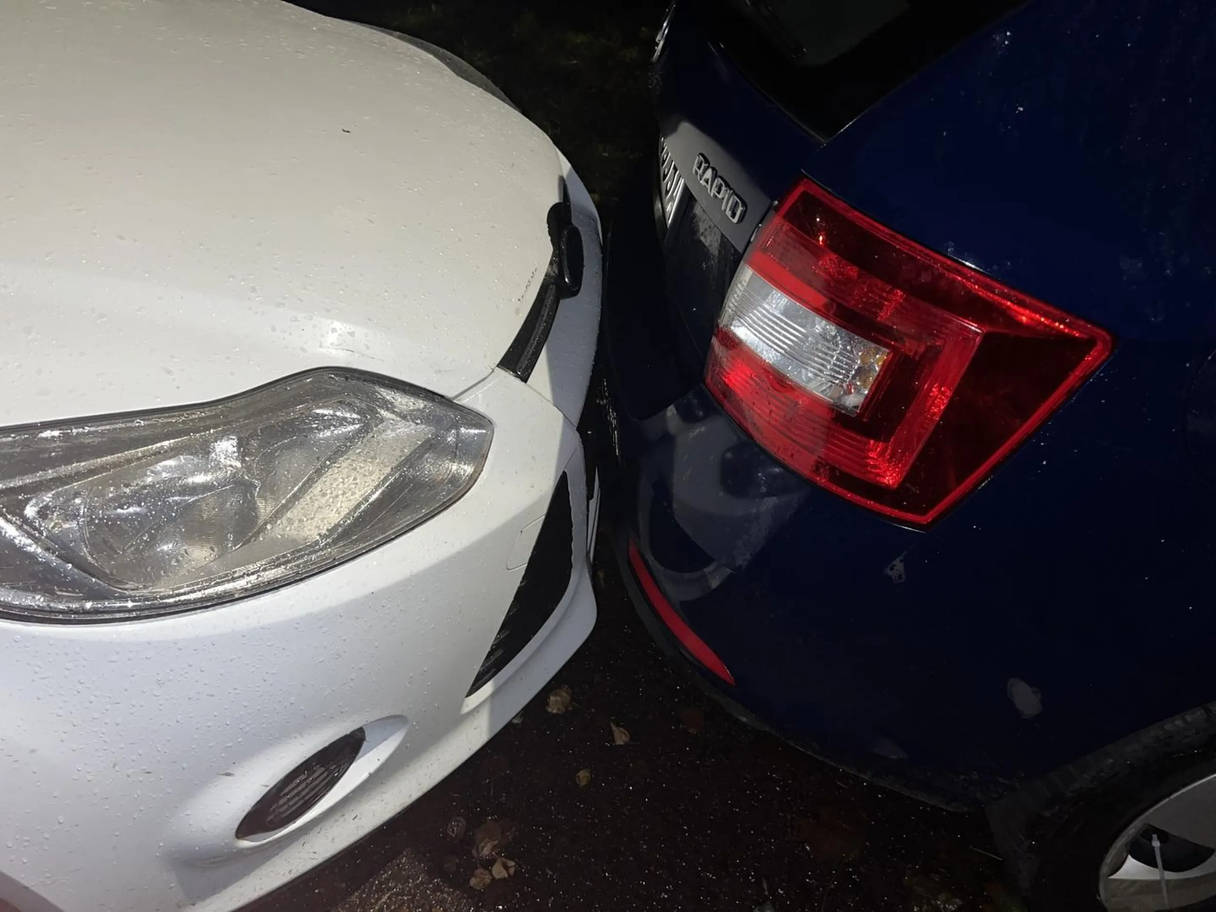 Parkowanie na medal w fordzie