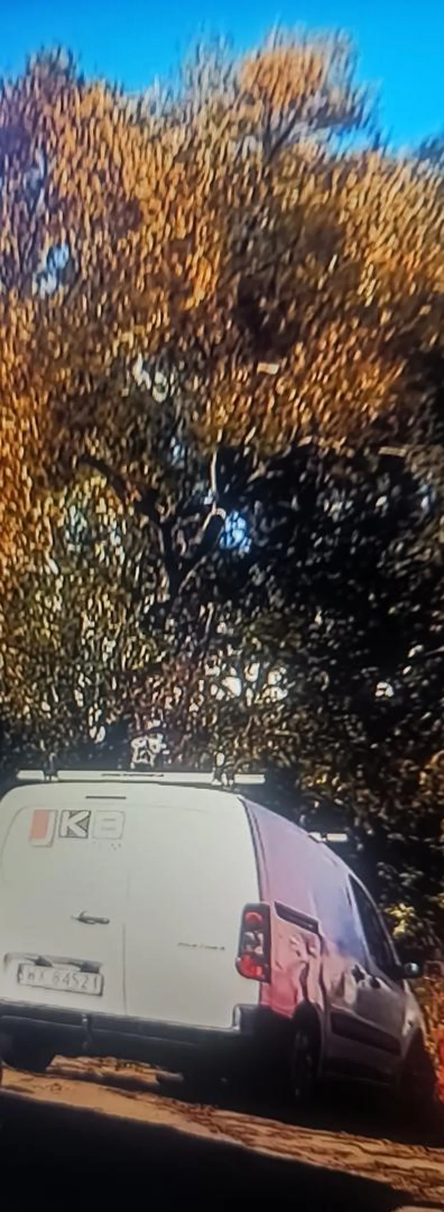 Patologia nie umie parkować zniszczył zieleń oraz wjeżdżał wzdłuż przejścia dla pieszych mając blisko legalne miejsca