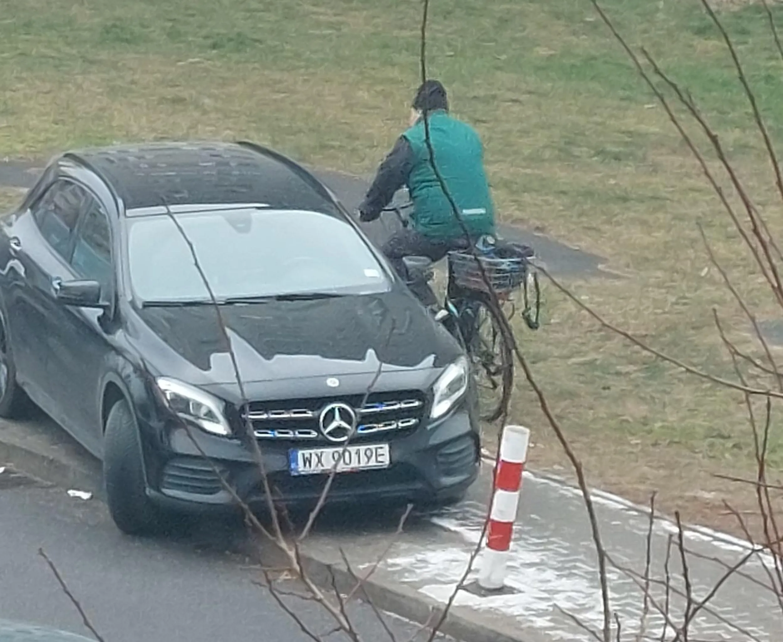 Blond krowa na wypasie zastawiła cały chodnik, chyba zapomniała że to nie jej prywatny. Ludzie chodzą po trawie, albo wymijać ją od strony drogi.