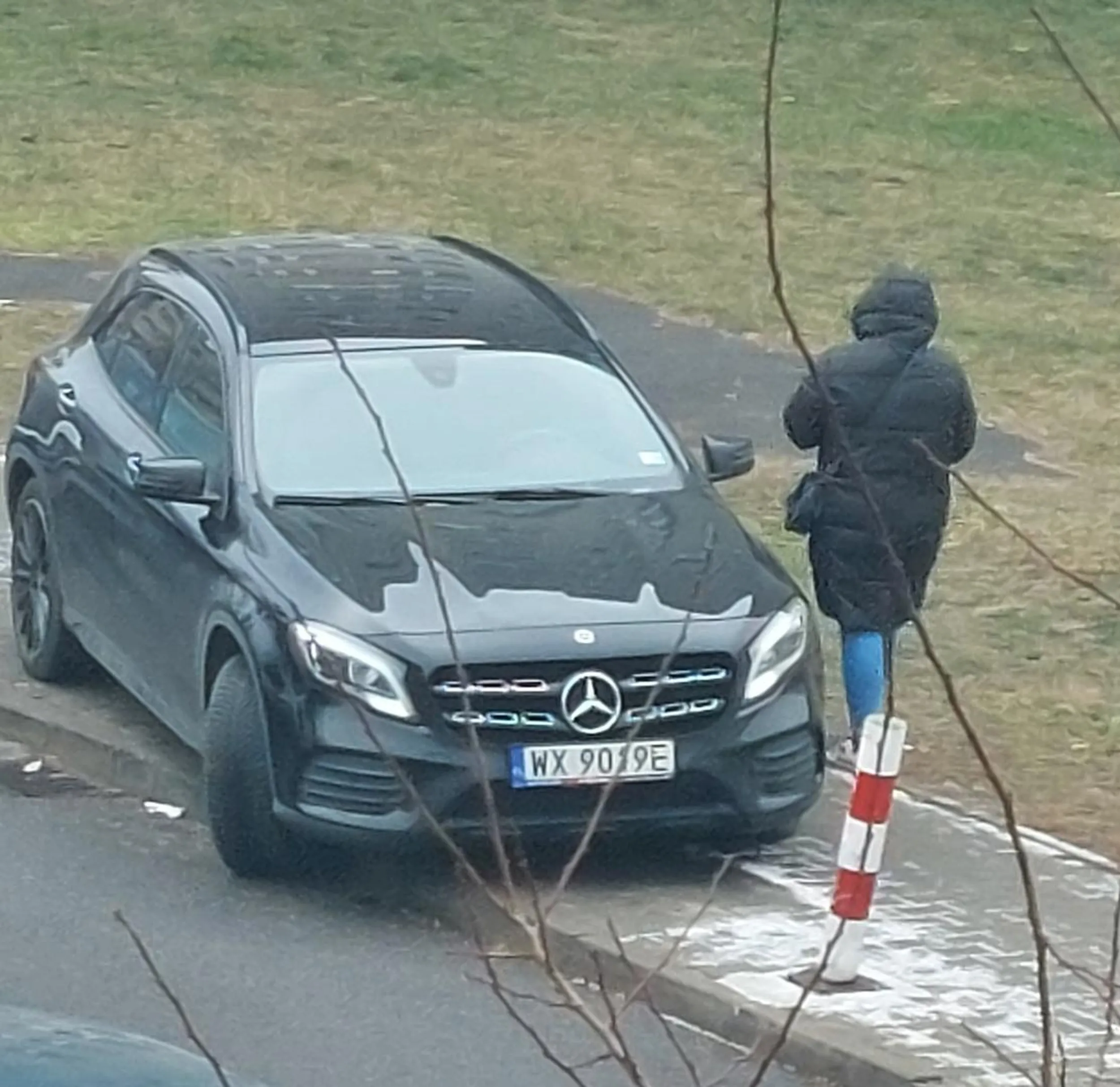 Blond krowa na wypasie zastawiła cały chodnik, chyba zapomniała że to nie jej prywatny. Ludzie chodzą po trawie, albo wymijać ją od strony drogi.