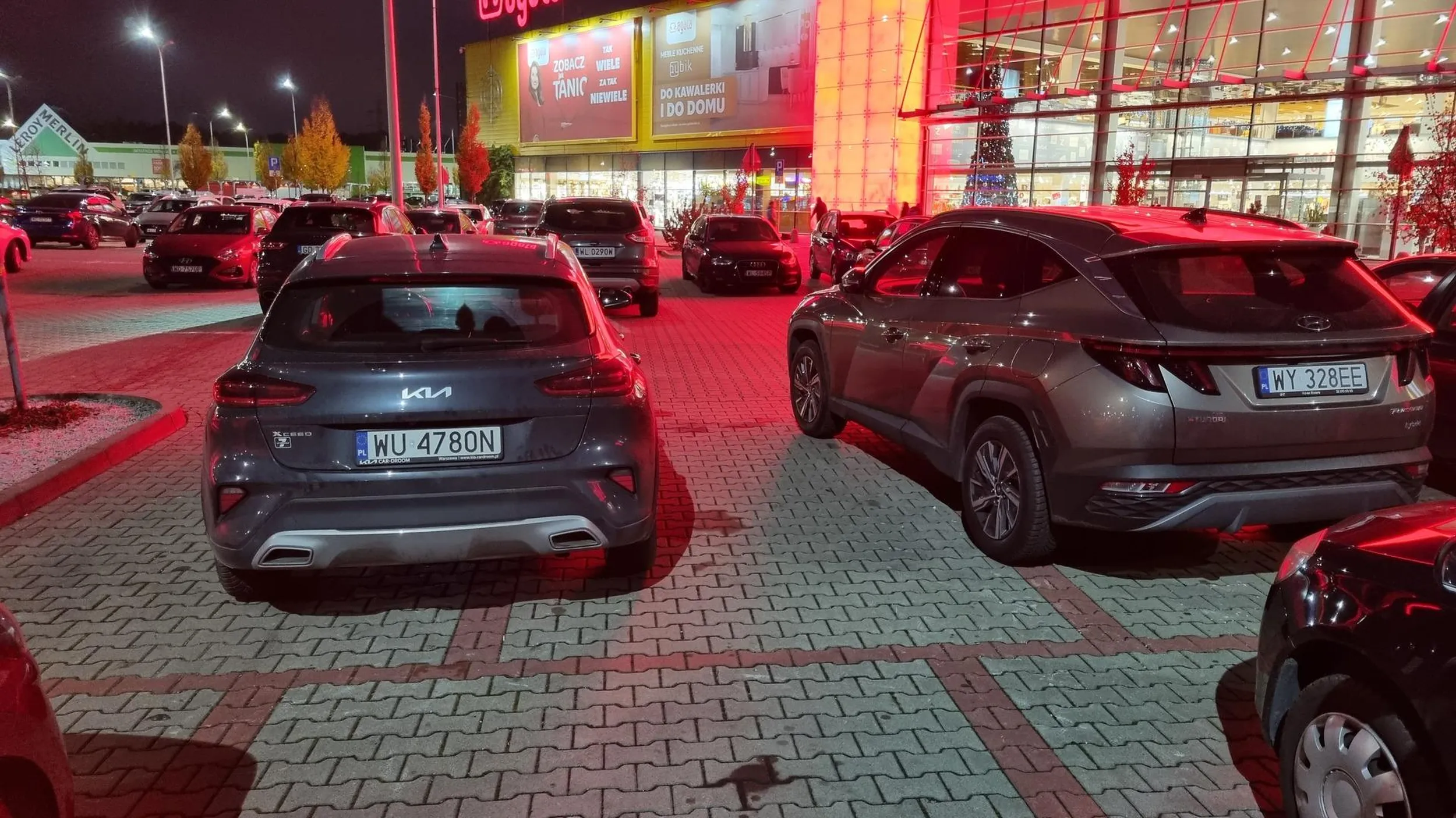 Miszcz jeden obok drugiego