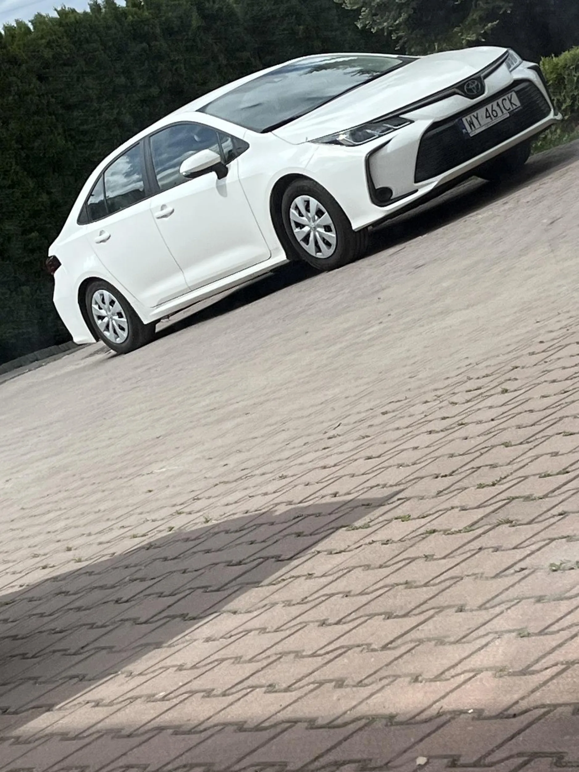 stoi pod szkołą jak tańczymy poloneza ???