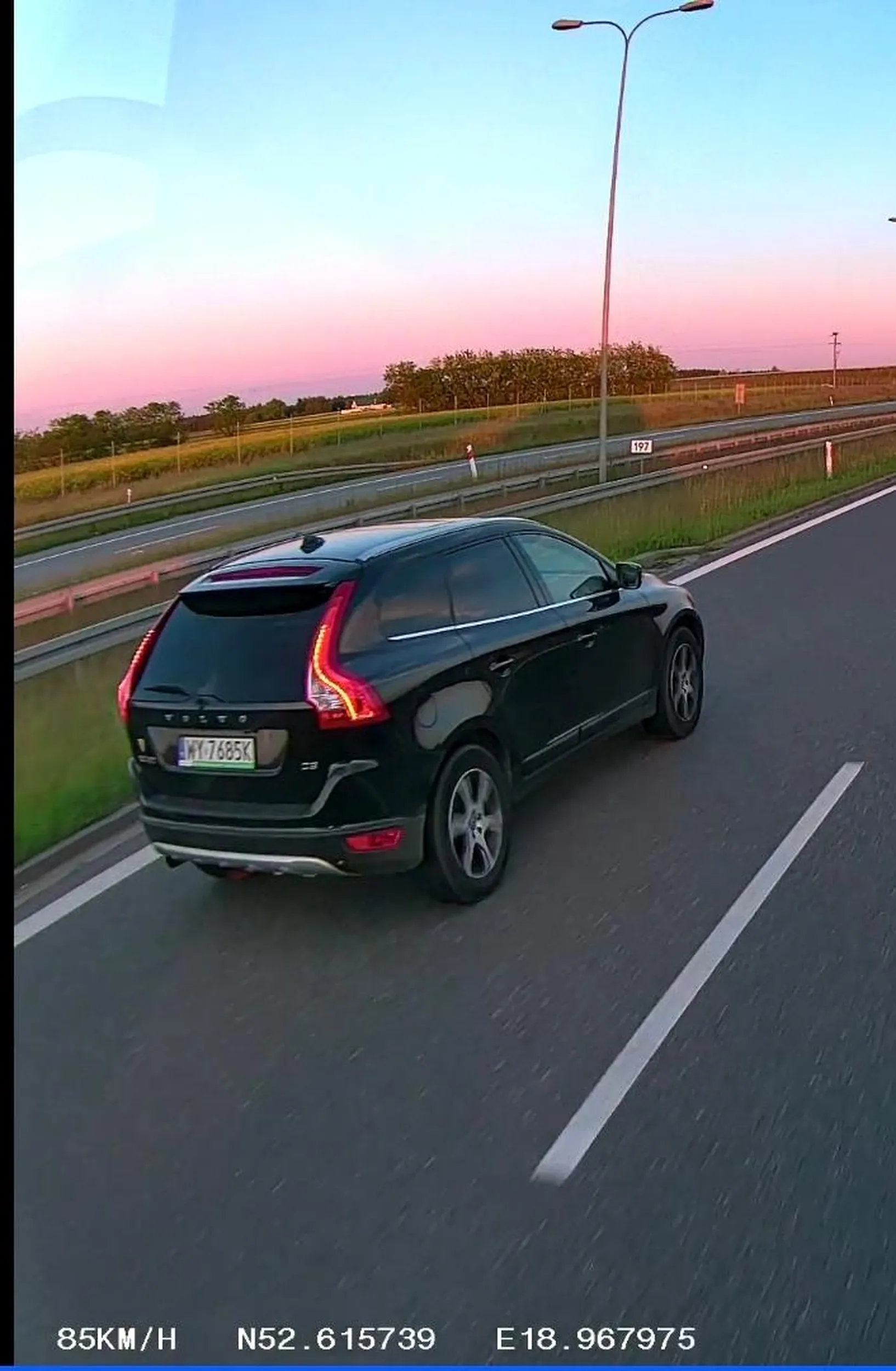 Pet który stwarza zagrożenie na drodze i wyhamowuje auta na autostradzie