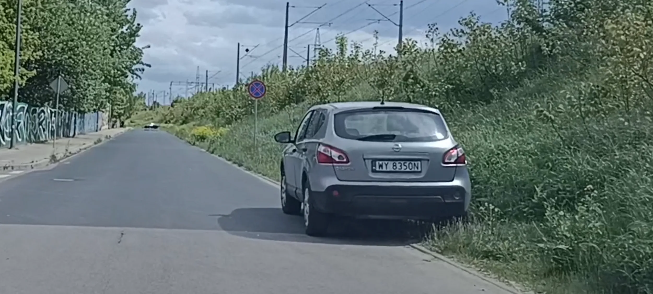 Chamskie parkowanie na poboczu ulicy i niszczenie przyrody